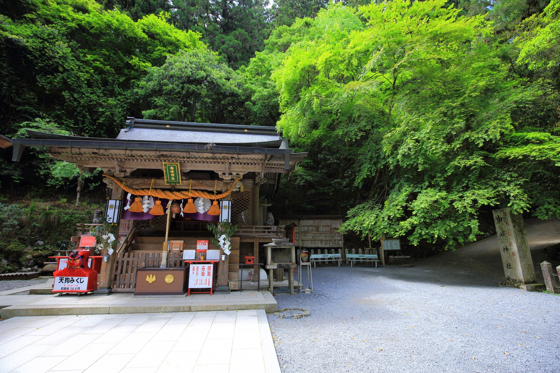 Kyoto Yuki-jinja Shrine fresh green