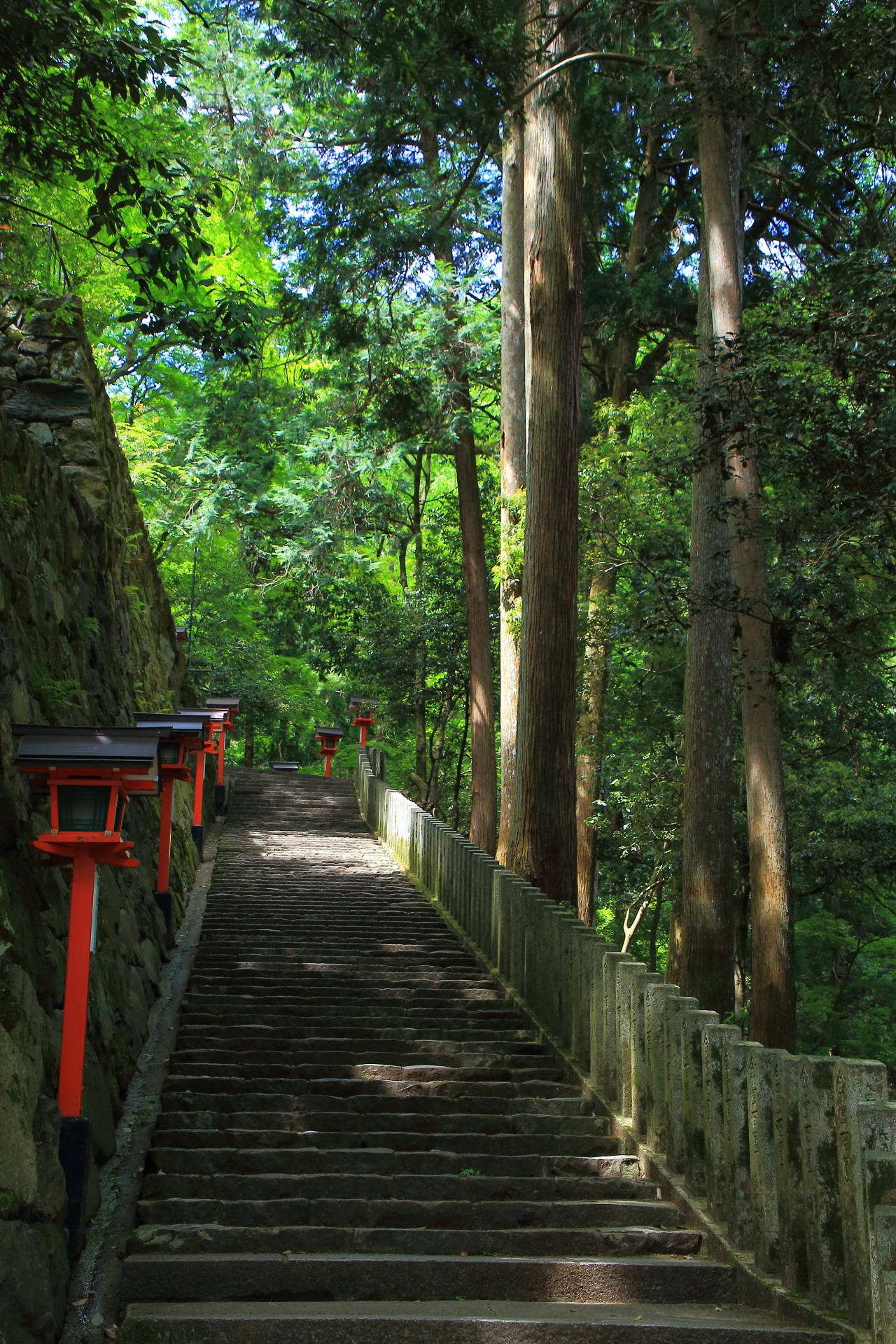 Kyoto Kuramadera-Temple fresh green