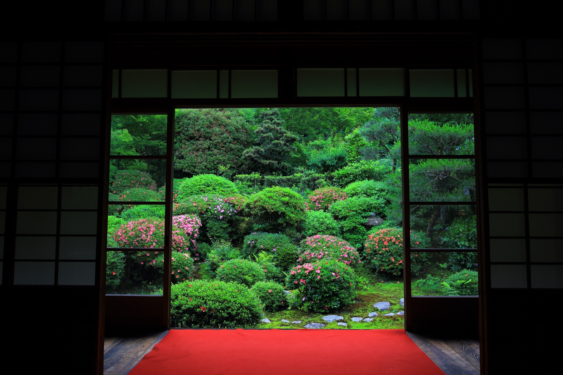 Kyoto Anraku-ji Temple azalea