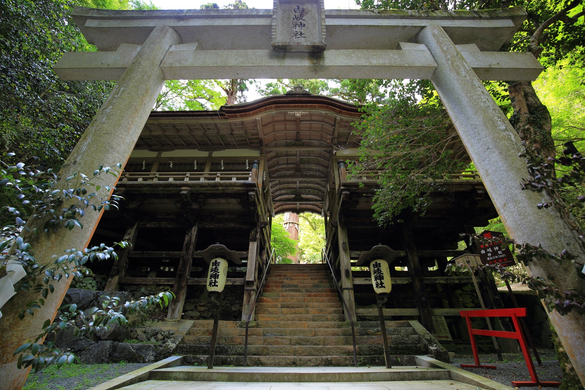 由岐神社 新緑　拝殿を通る参道と杉と緑