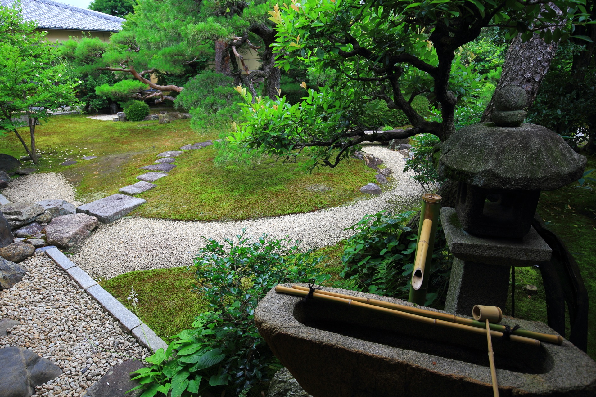 妙顕寺の庭園の灯籠と手水鉢