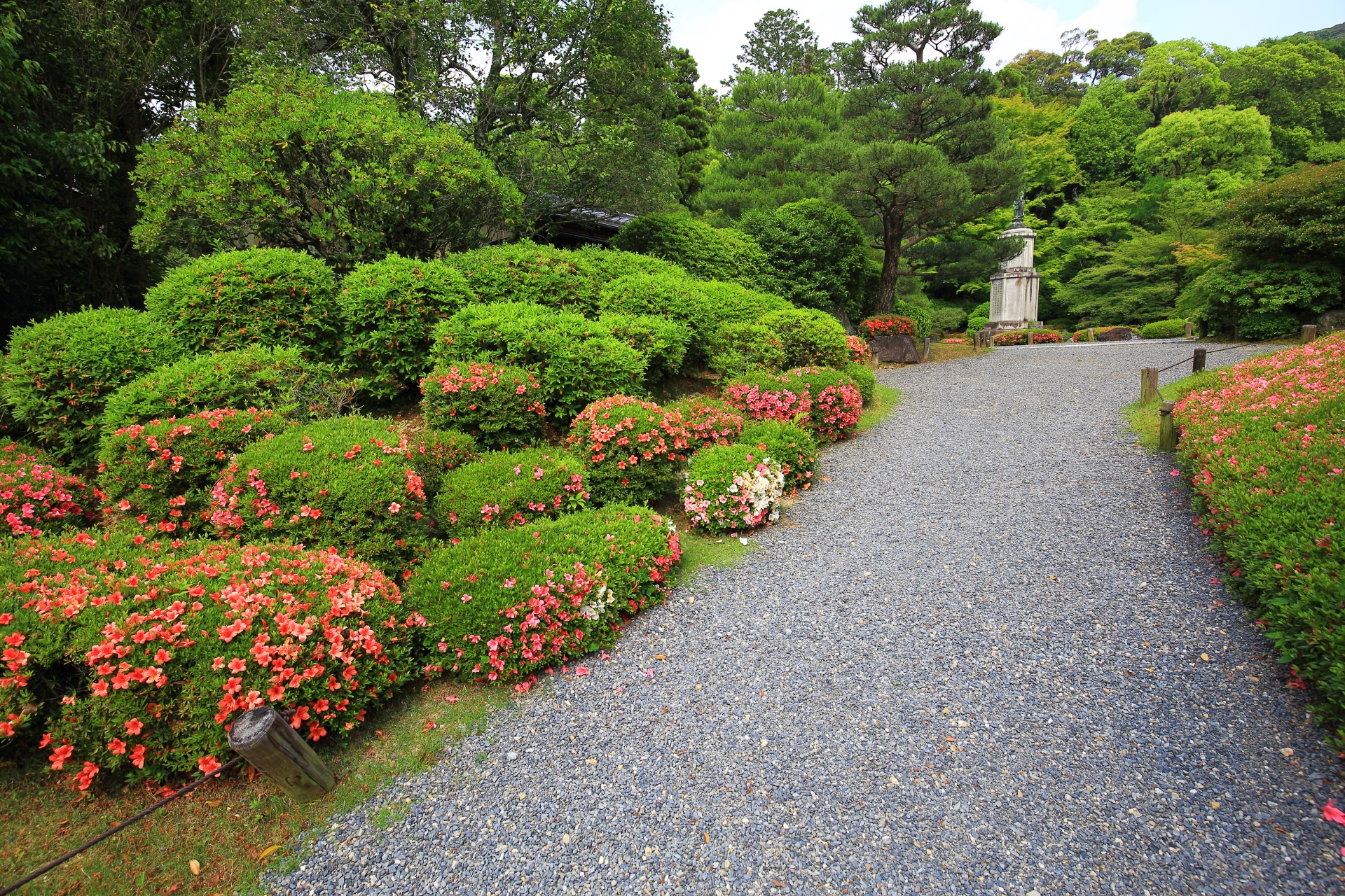 知恩院友禅苑の淡く美しい緑に映える華やかなサツキ