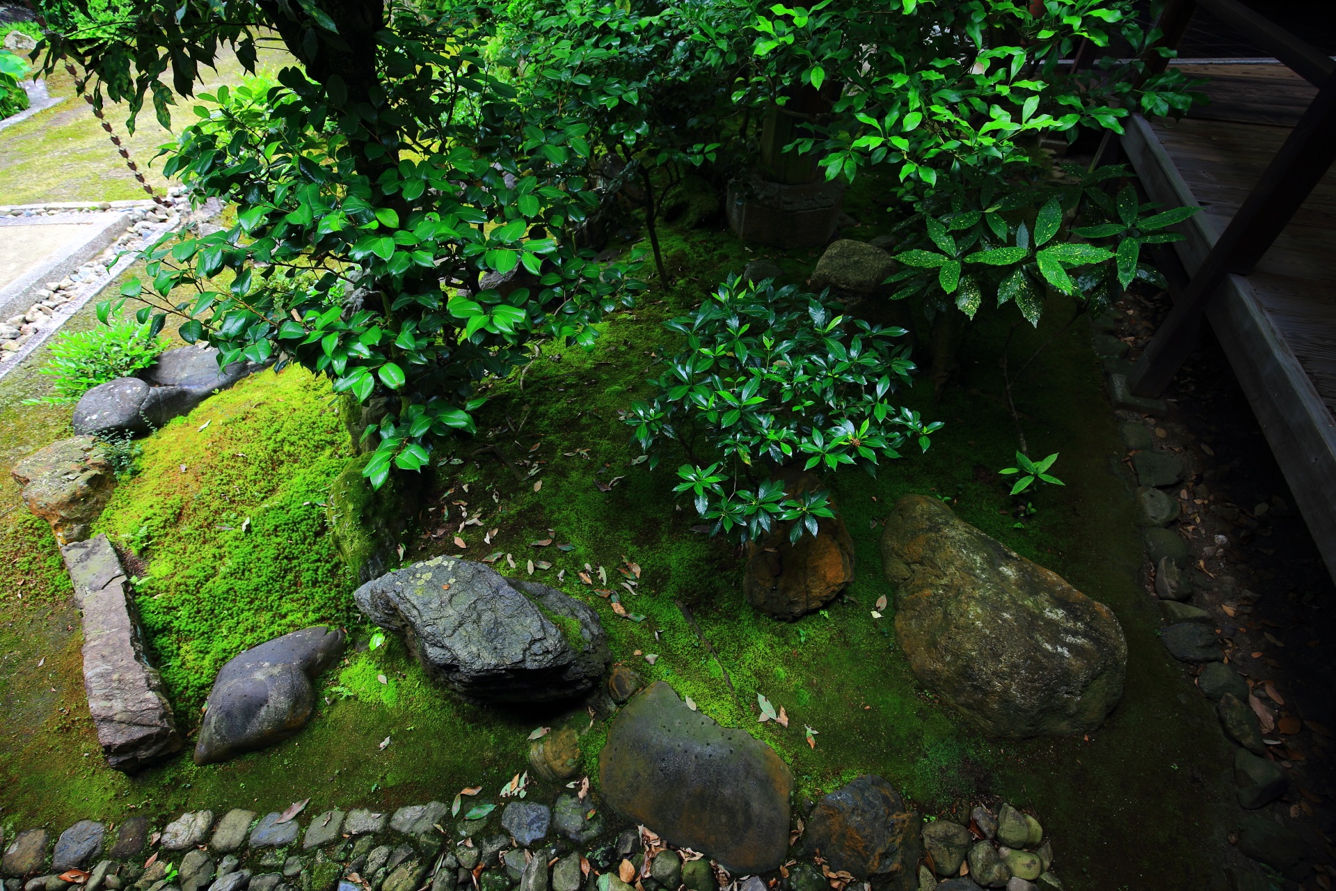 緑と石の美しい本法寺の巴の庭