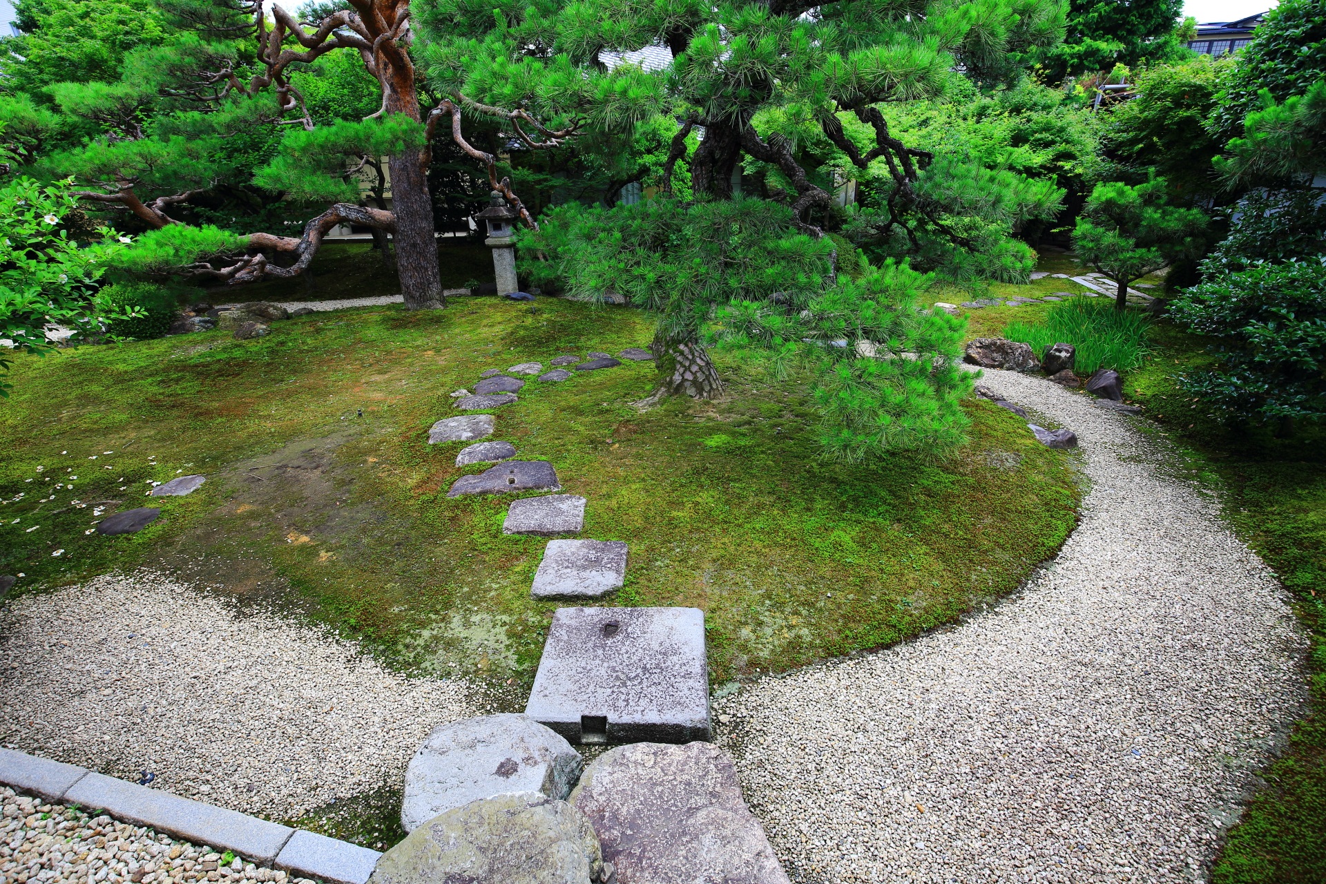 緑と白砂の美しい妙顕寺の光琳曲水の庭