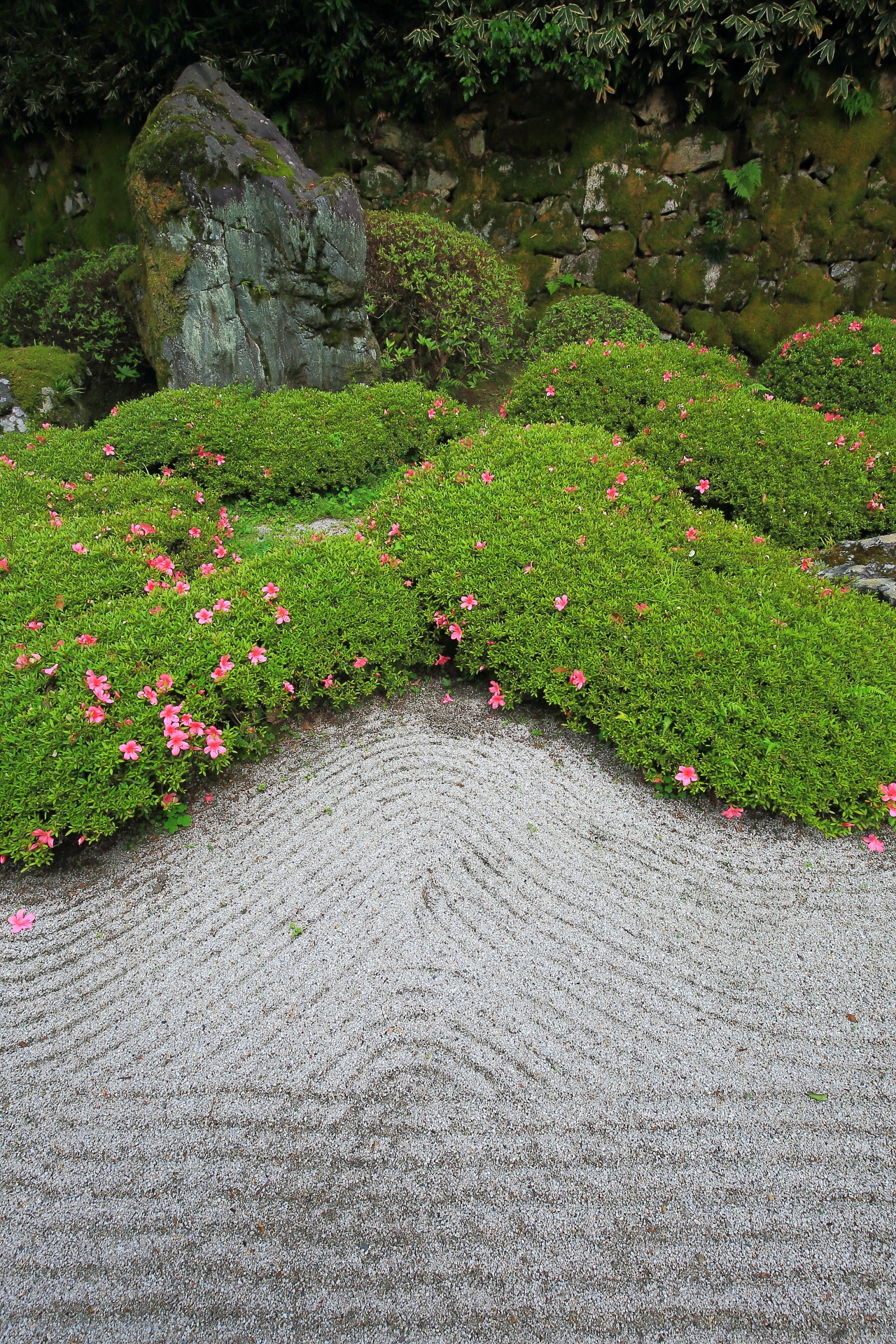 Kyoto Chionin-Temple Hojoteien-Garden Azalea and Green