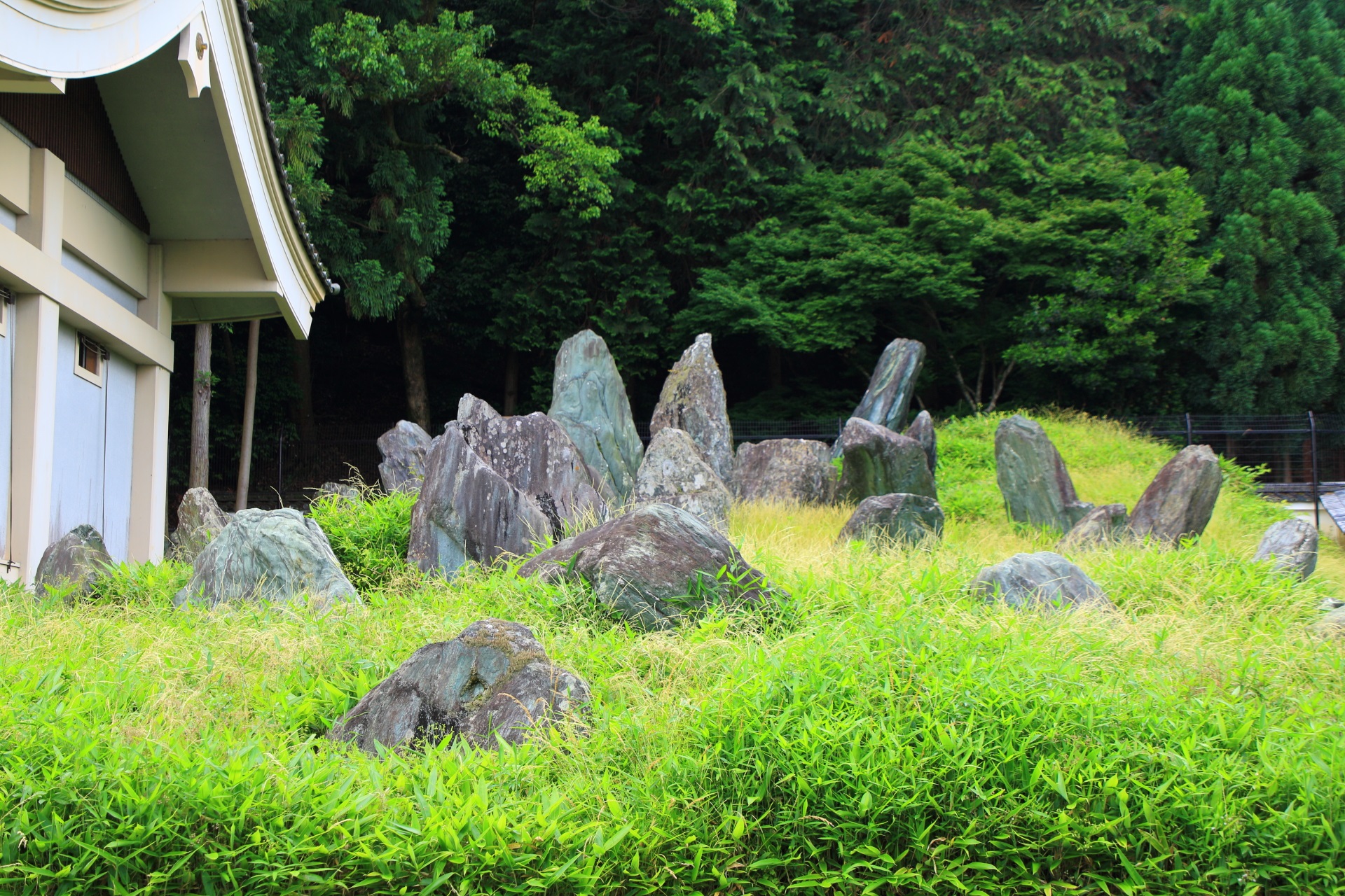 美しい緑におおわれた松尾大社の上古の庭