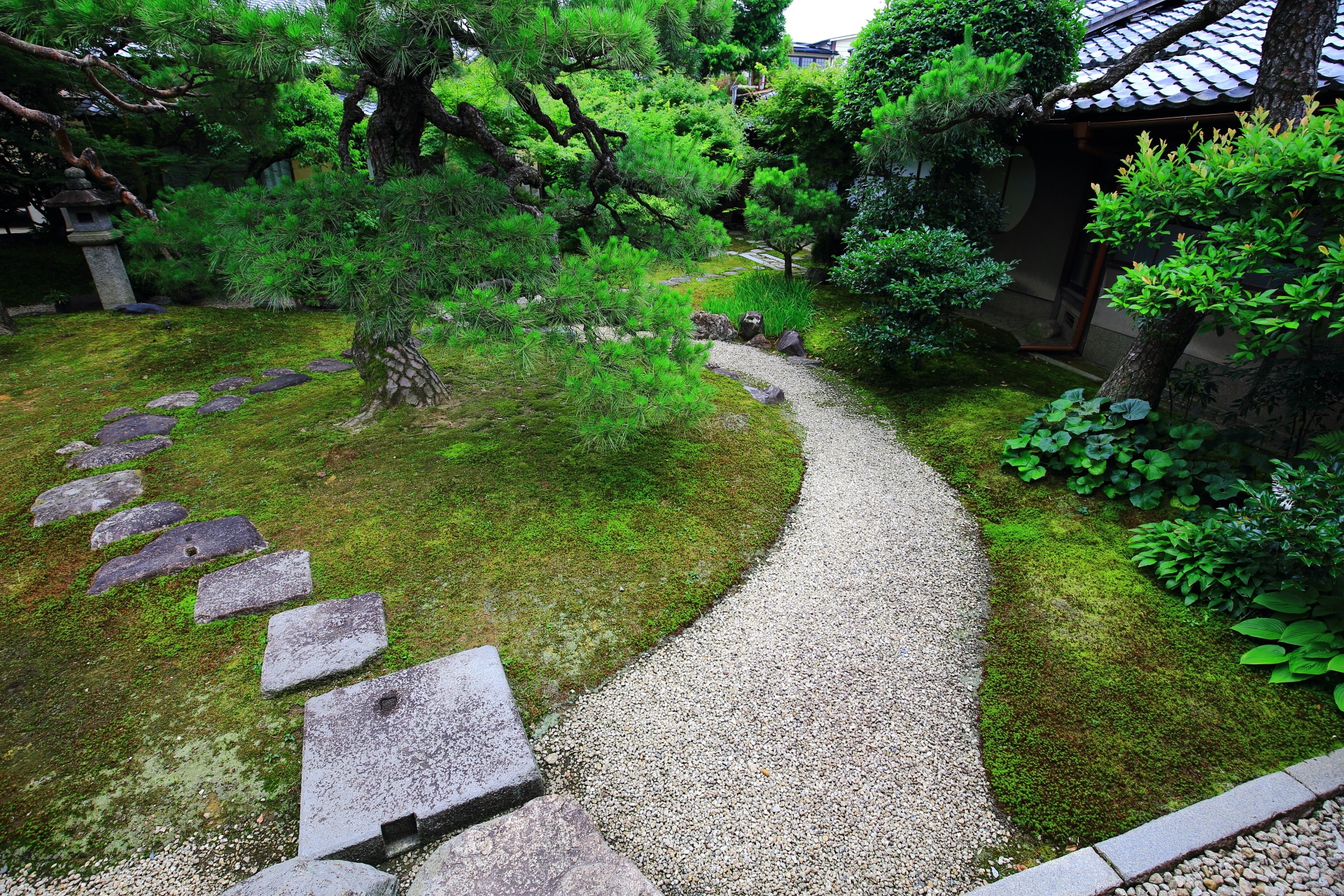 流れるような妙顕寺の光琳曲水の庭