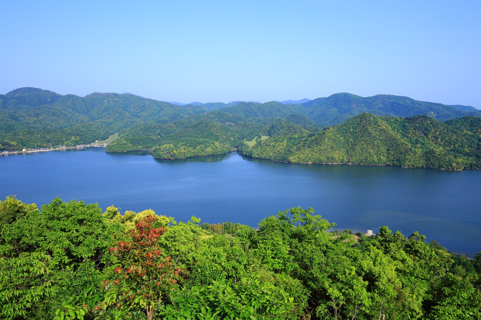 久美浜湾の美しい緑と青い空と湖の極上の景色