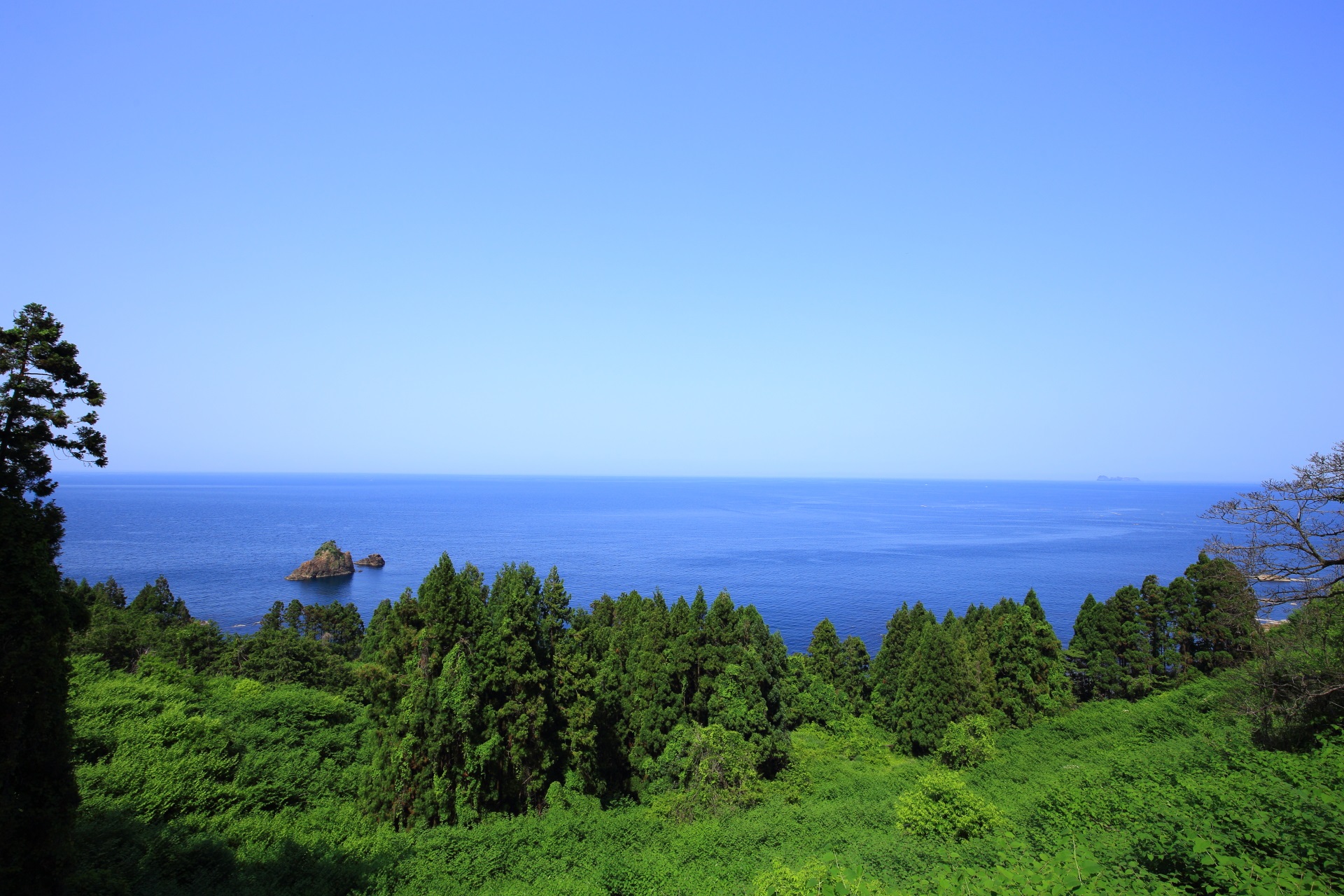 のろせ海岸の緑溢れる海岸線と広がる穏やかな青い日本海