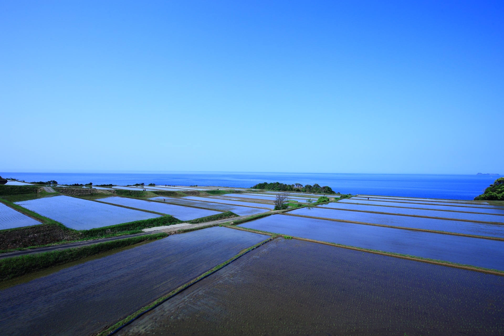 新井の棚田と日本海の素晴らしい景色と情景