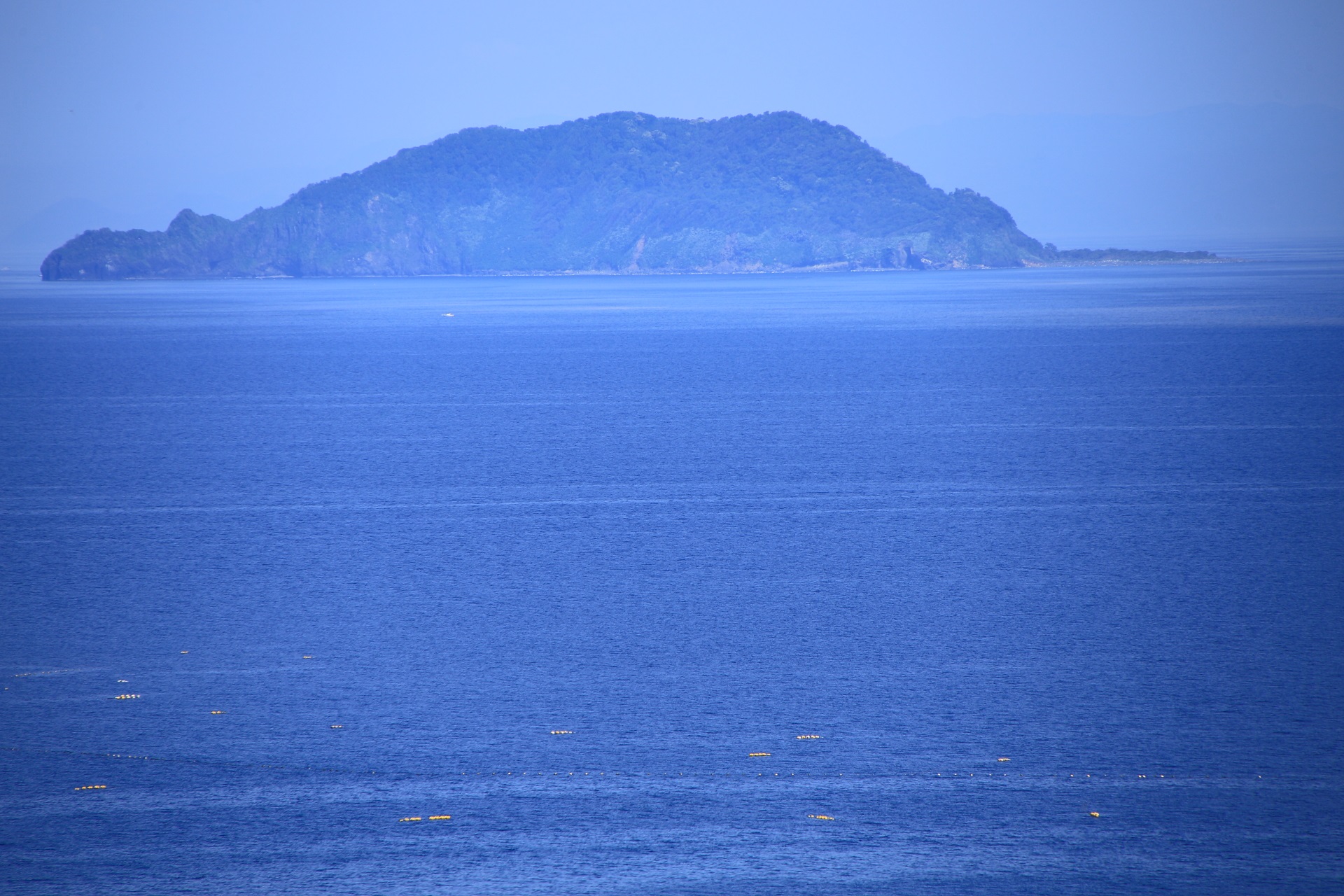 島全体が国の天然記念物に指定されている無人島の冠島
