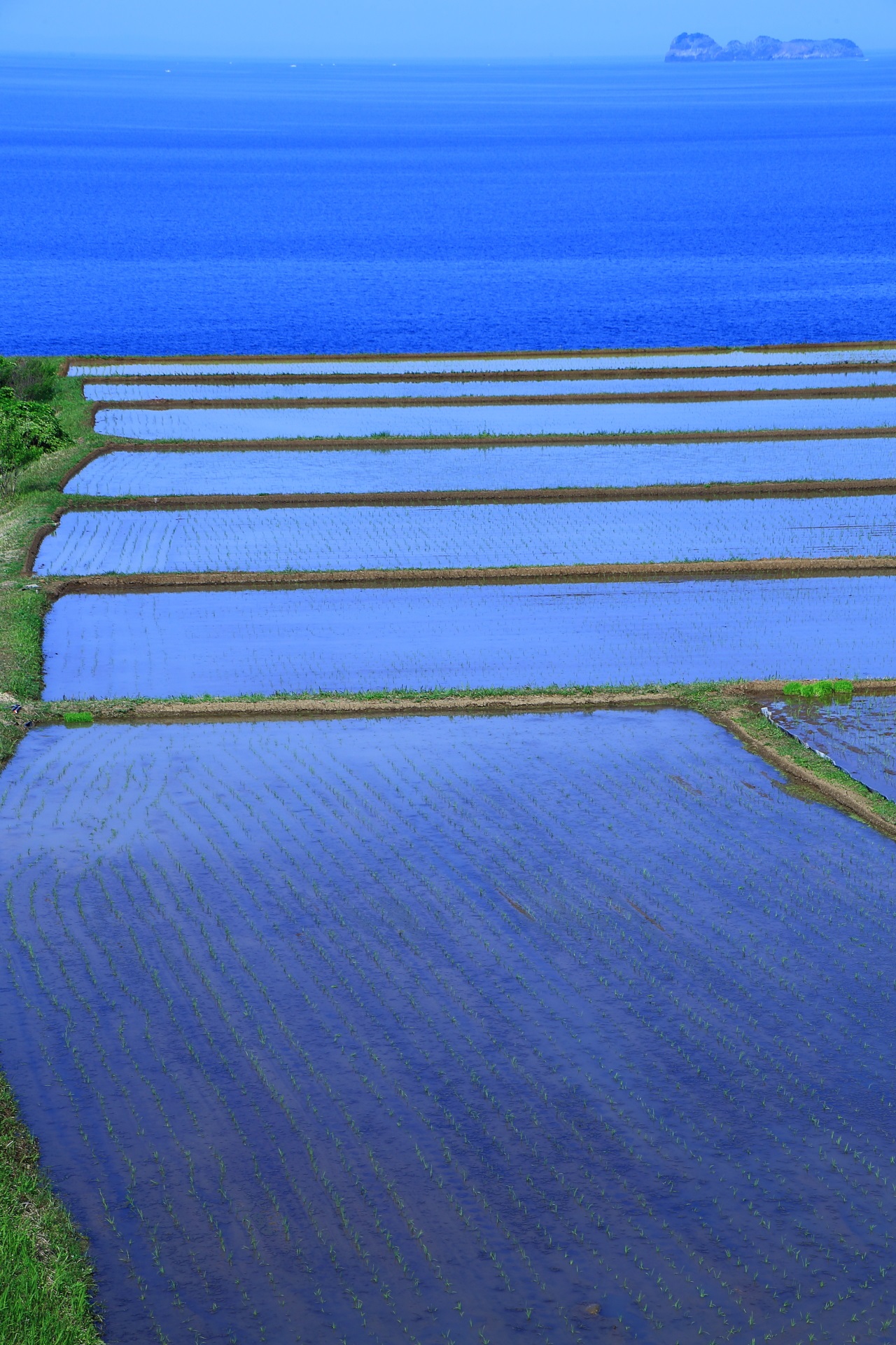 青く彩られた棚田と日本海の絶景