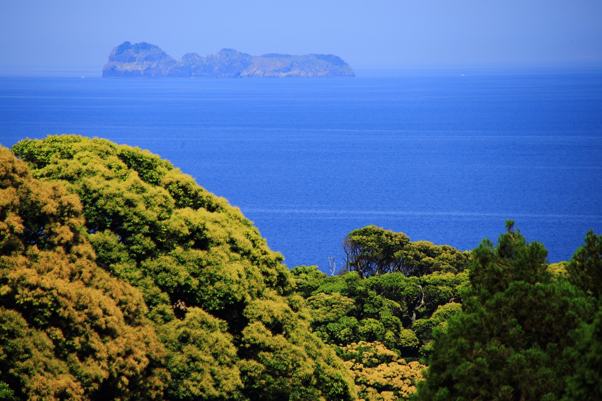 生い茂る木々などの緑の向こうに見える青い海と沓島