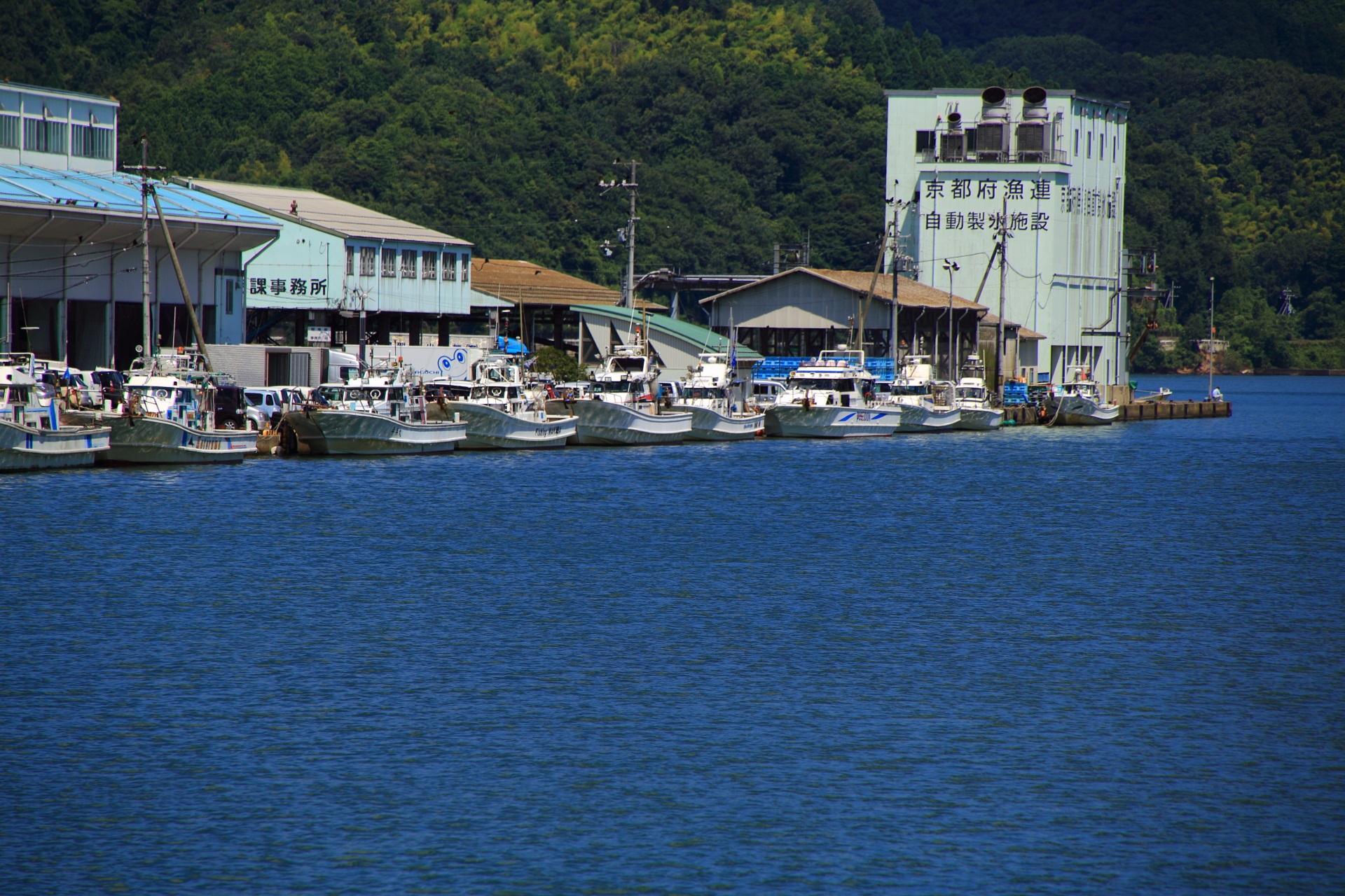 対岸にも漁船が並ぶ伊佐津川の趣きある漁港の風景