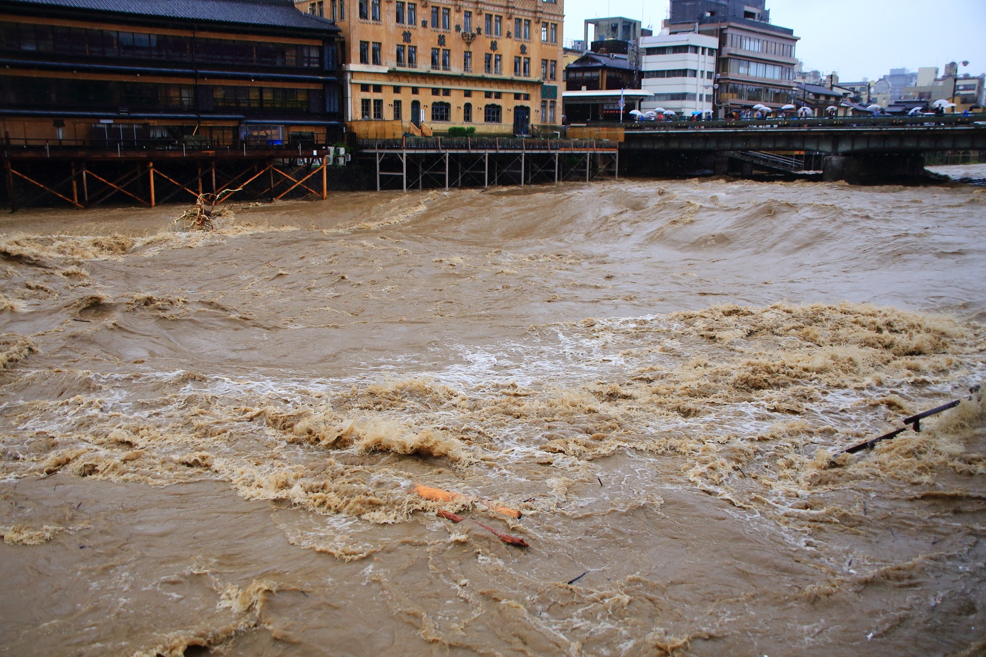 激流の鴨川　四条大橋で暴れる豪雨で増水した鴨川