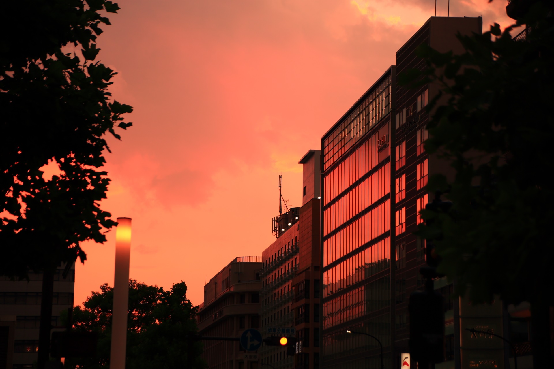 鮮やかな夕焼けを映し出す京都駅ビル向かいに建つローム（ＲＯＨＭ）のビル