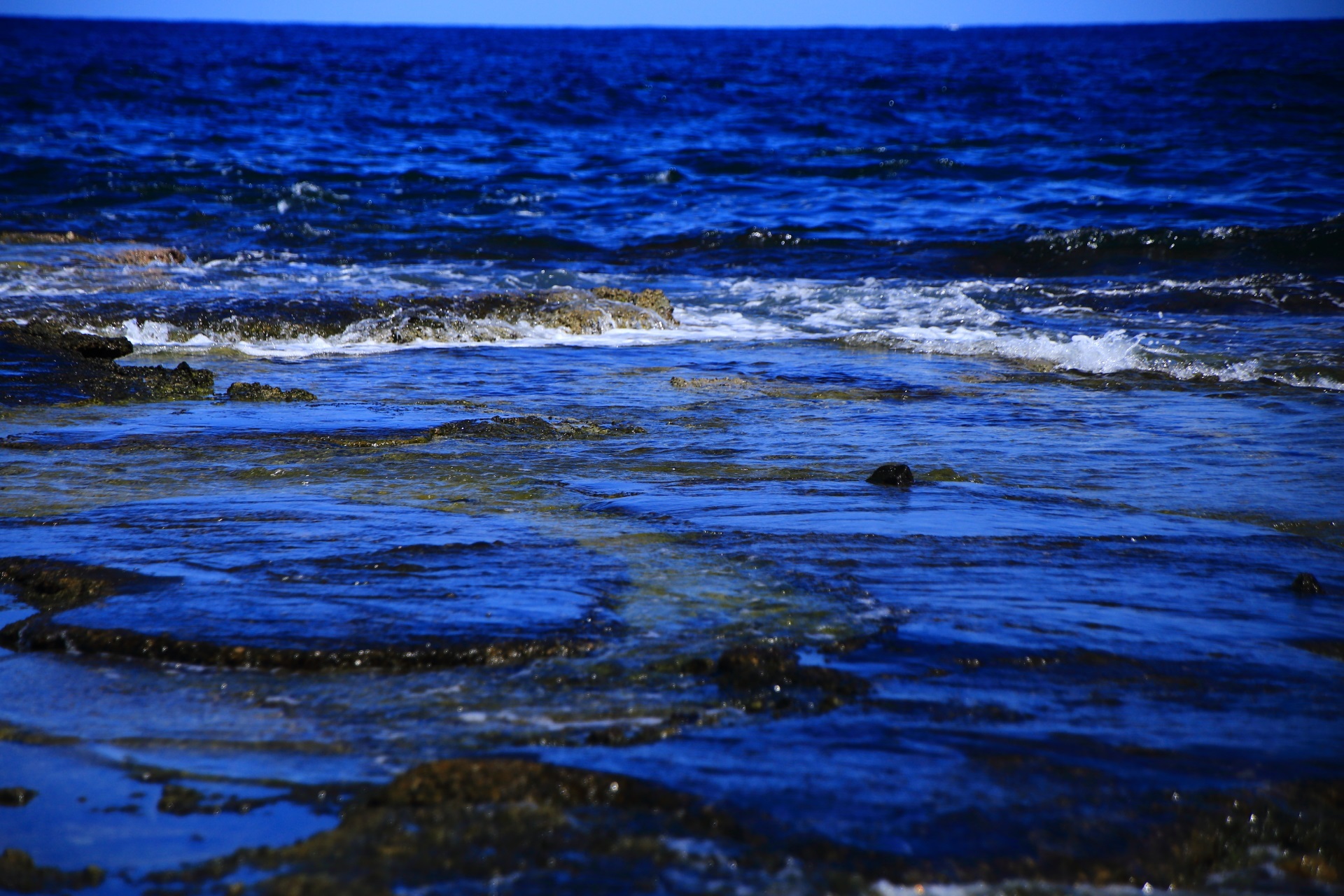 五色浜の自然が創る海の芸術作品
