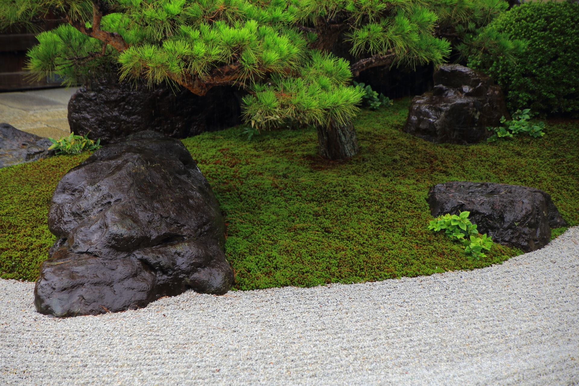 白砂に緑や岩の配された観智院の庭園