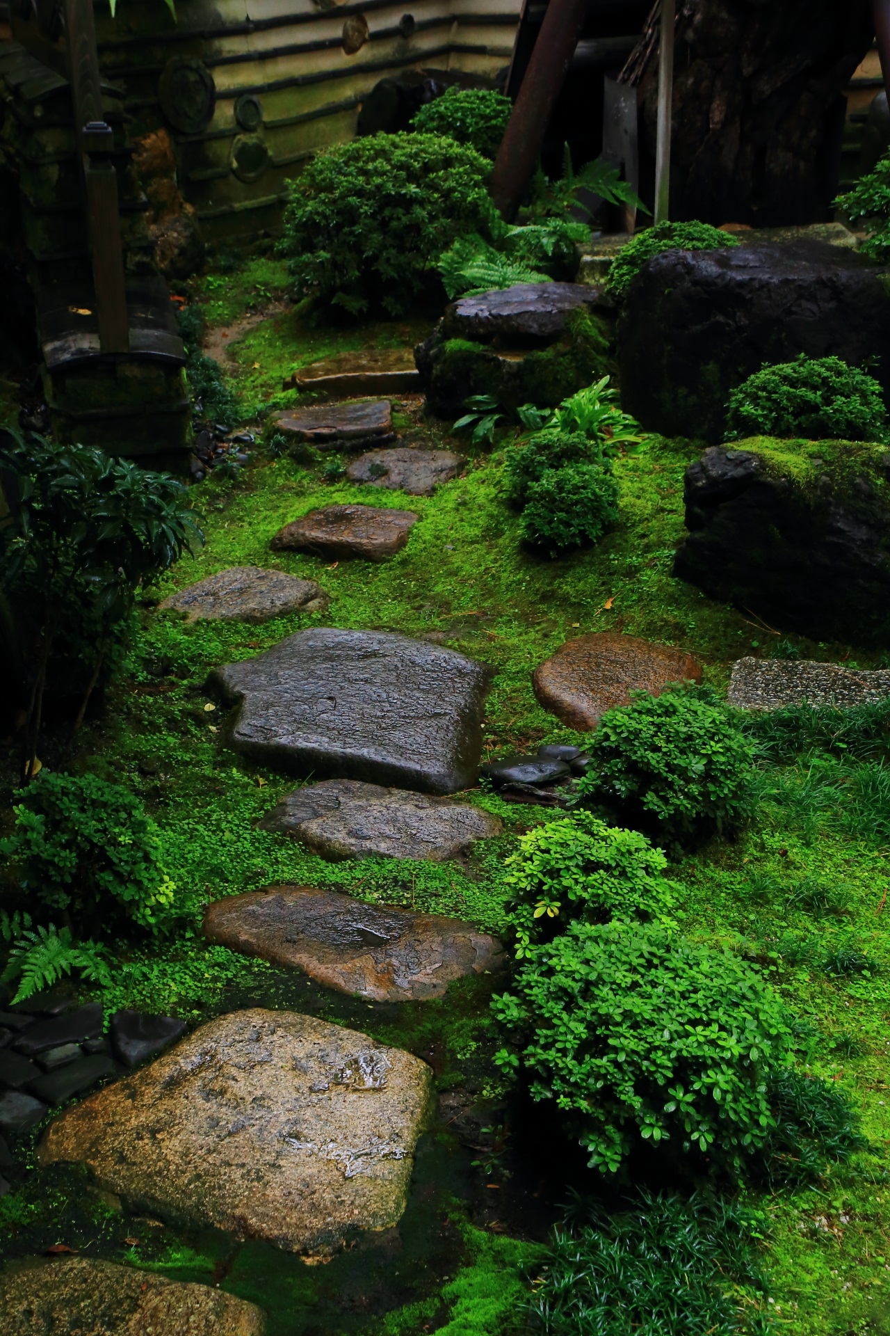 Beautiful green of Sumiya's garden in Kyoto