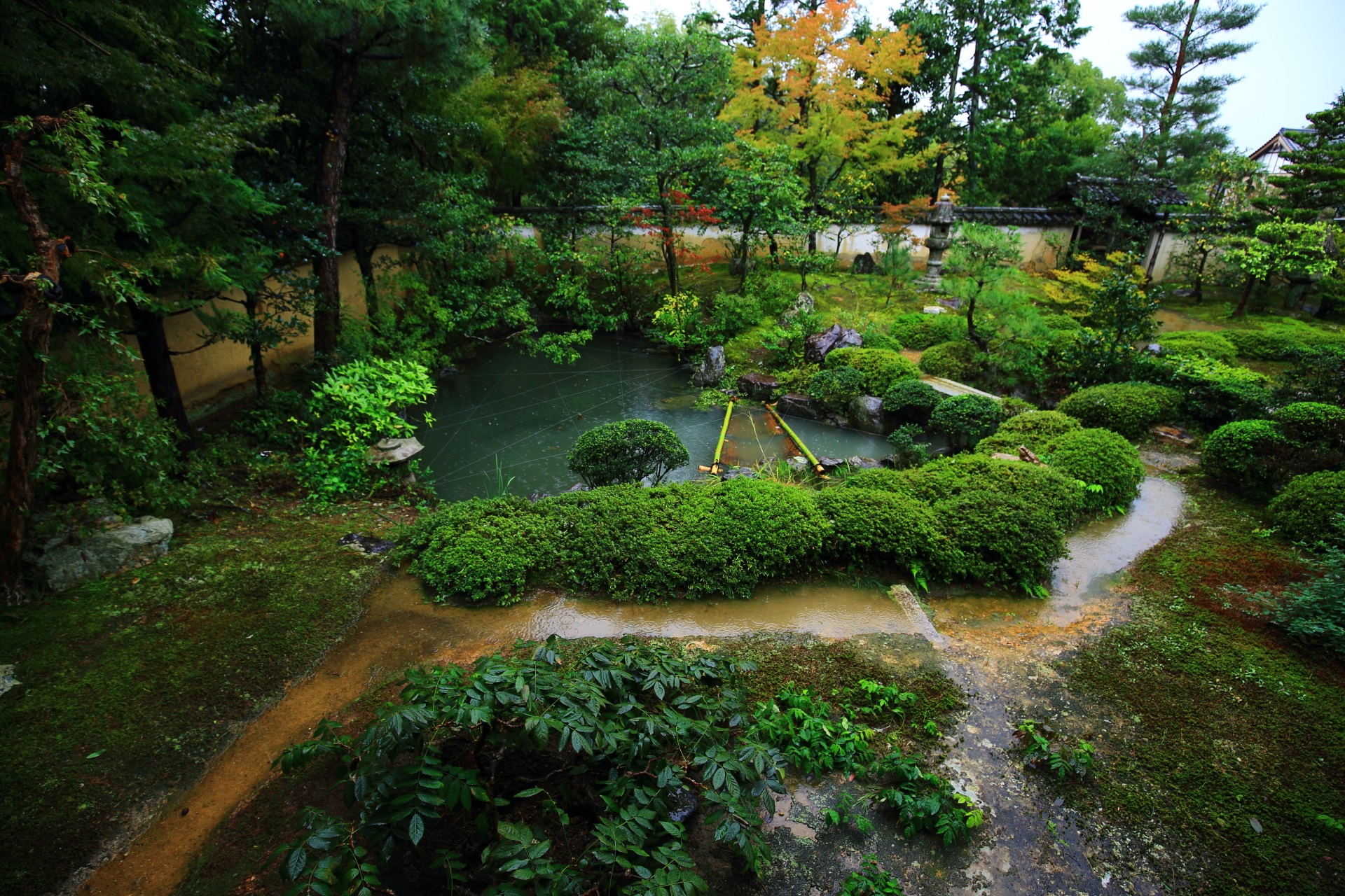 大雄院の書院前の池泉式庭園