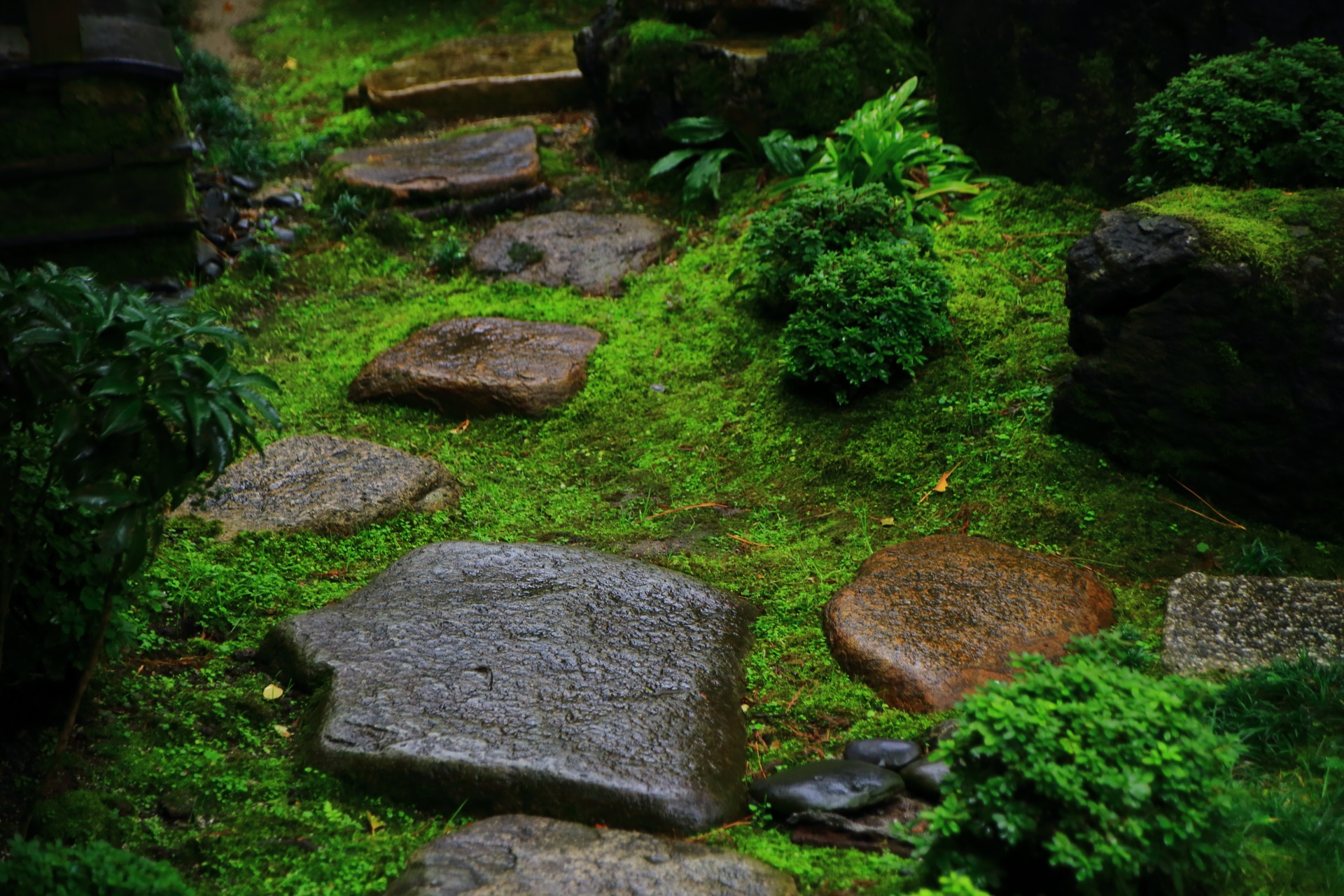 飛び石と苔の美しい臥龍松の庭