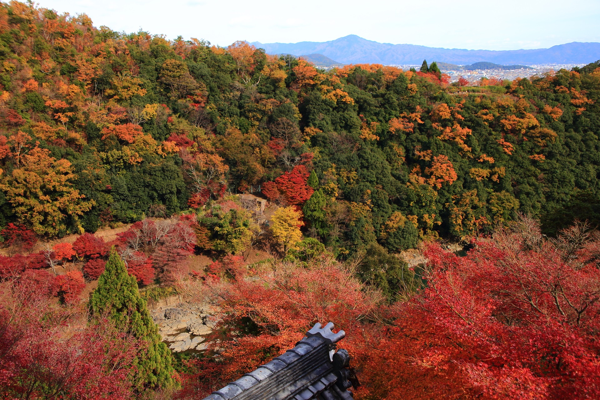 手前の大悲閣の紅葉とその向こうで鮮やかに色づく嵐山亀山地区の紅葉