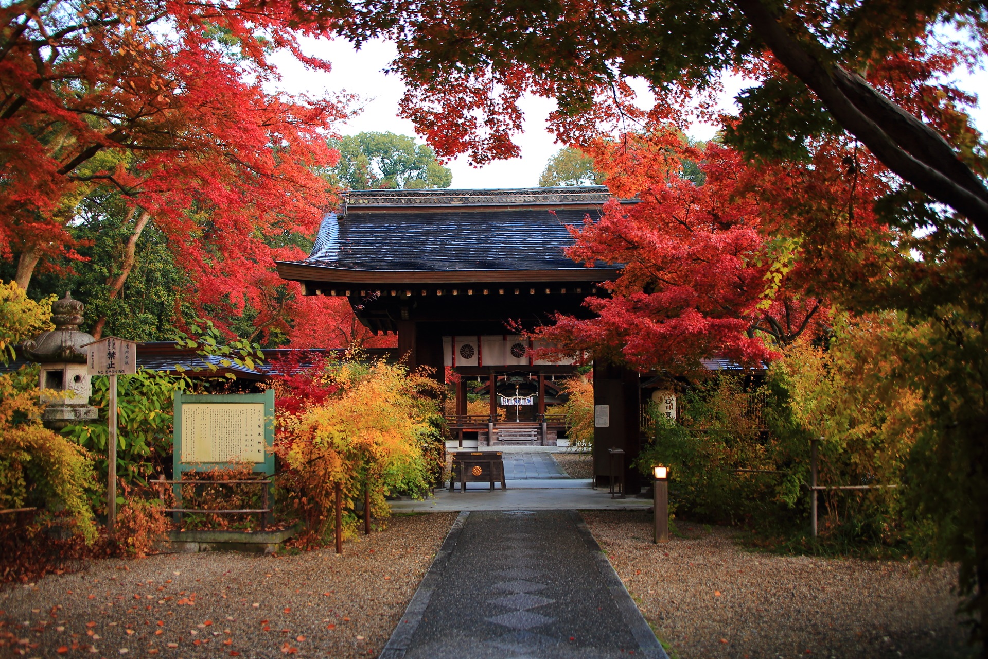 境内全体が紅葉に染まる梨木神社