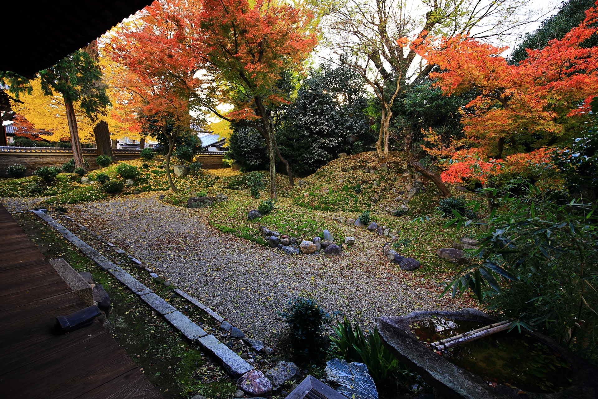 鮮やかな銀杏や紅葉に染まった風情ある立本寺の枯山水庭園