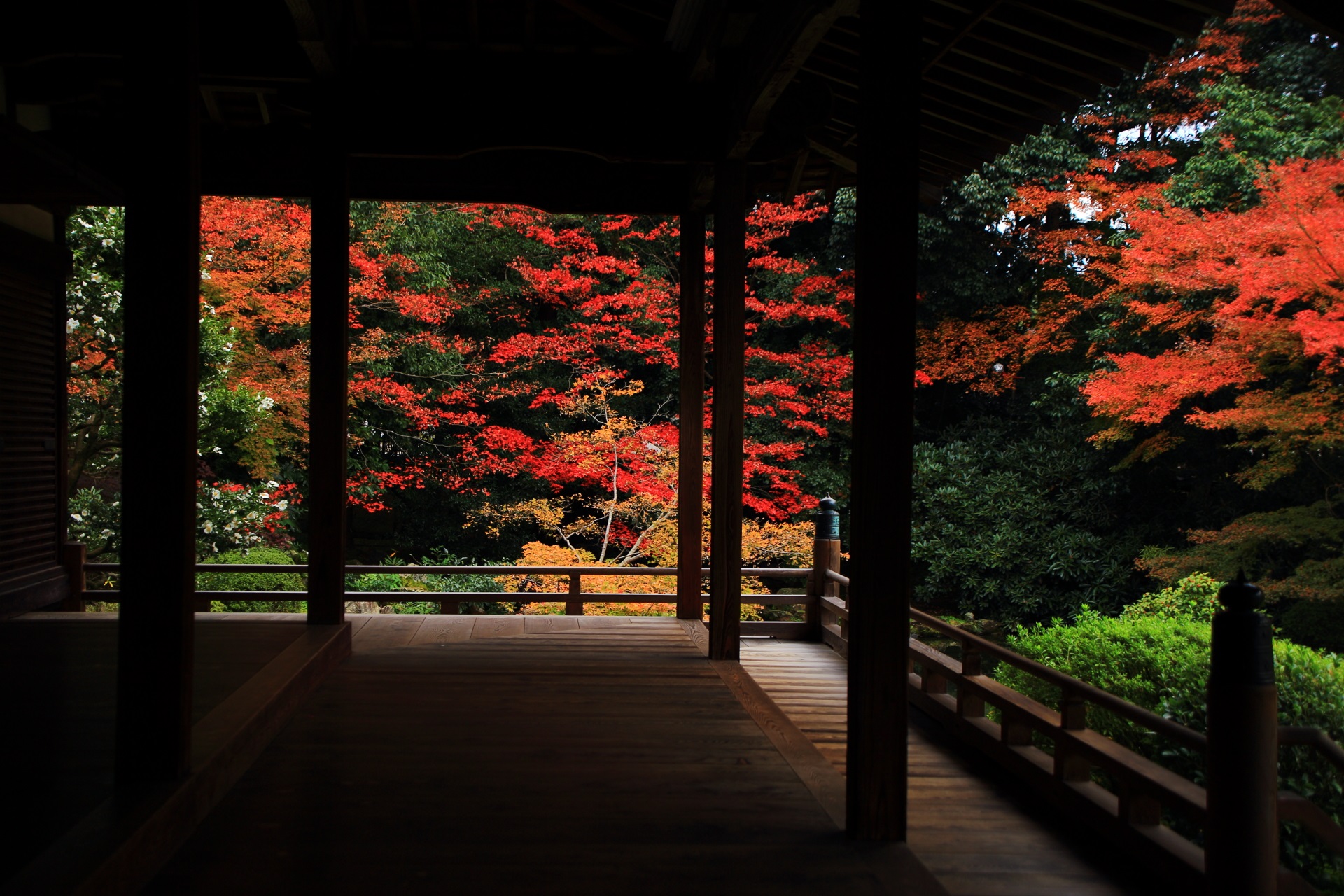 随心院の本堂の柱越しに眺める多彩な秋色の空間
