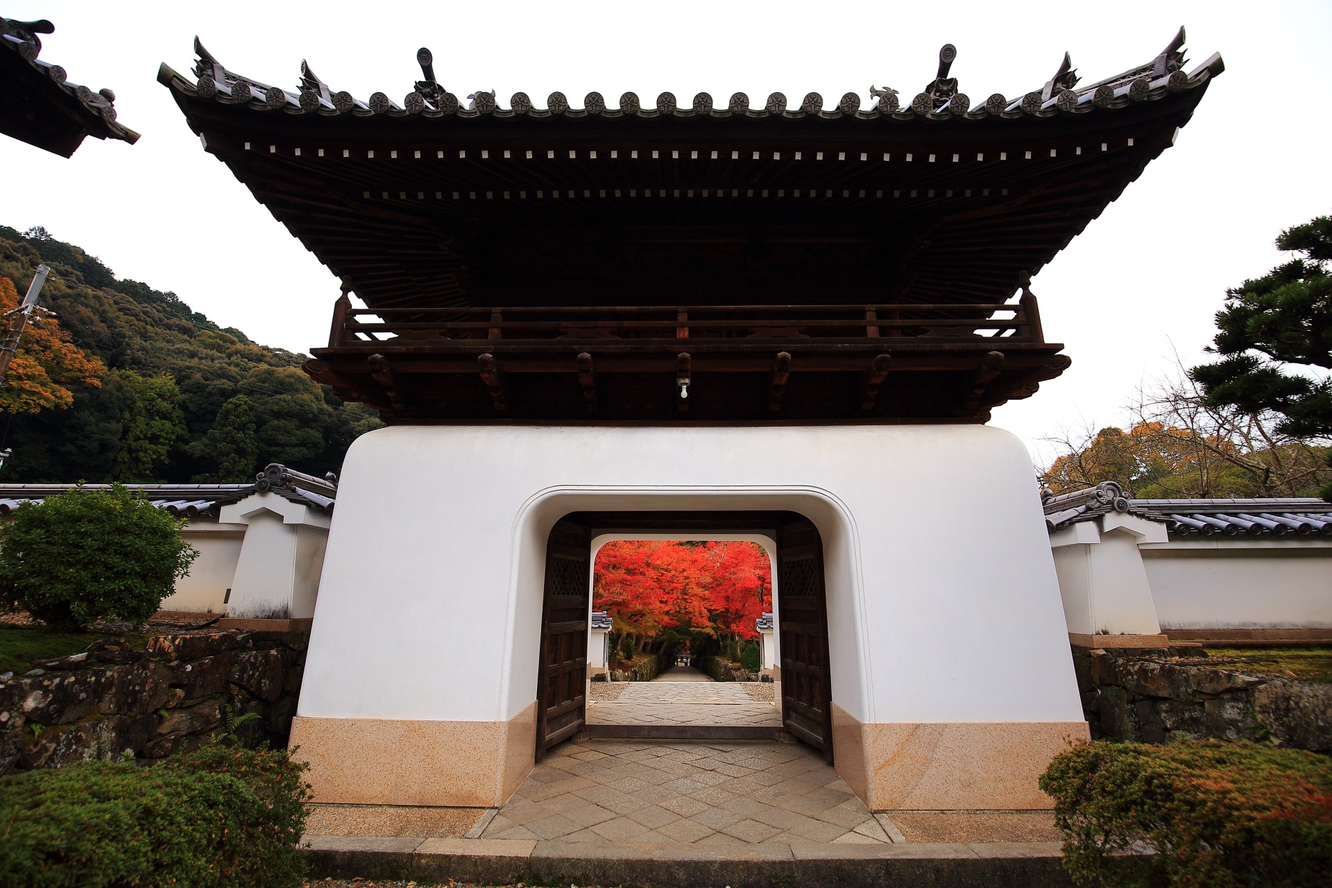 紅葉溢れる琴坂へと続く白壁の綺麗な興聖寺の龍宮門