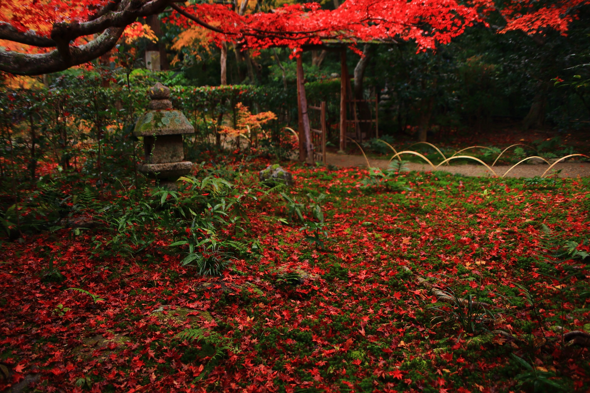 多種多様な華やかな秋色の空間