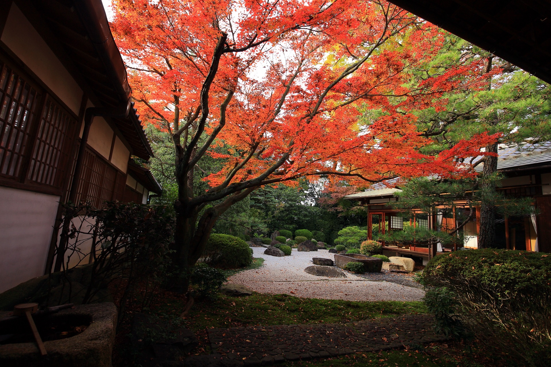 御香宮神社の素晴らしい紅葉と秋の情景
