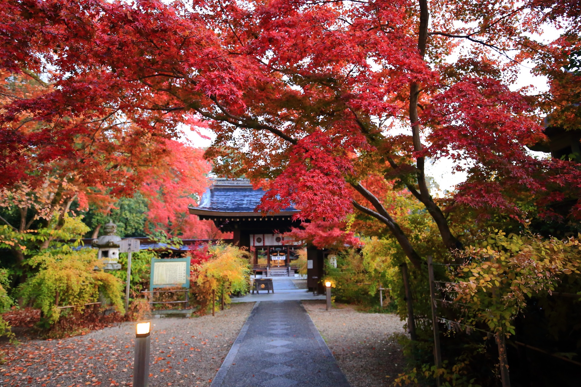 梨木神社の神門を彩る鮮やかな紅葉