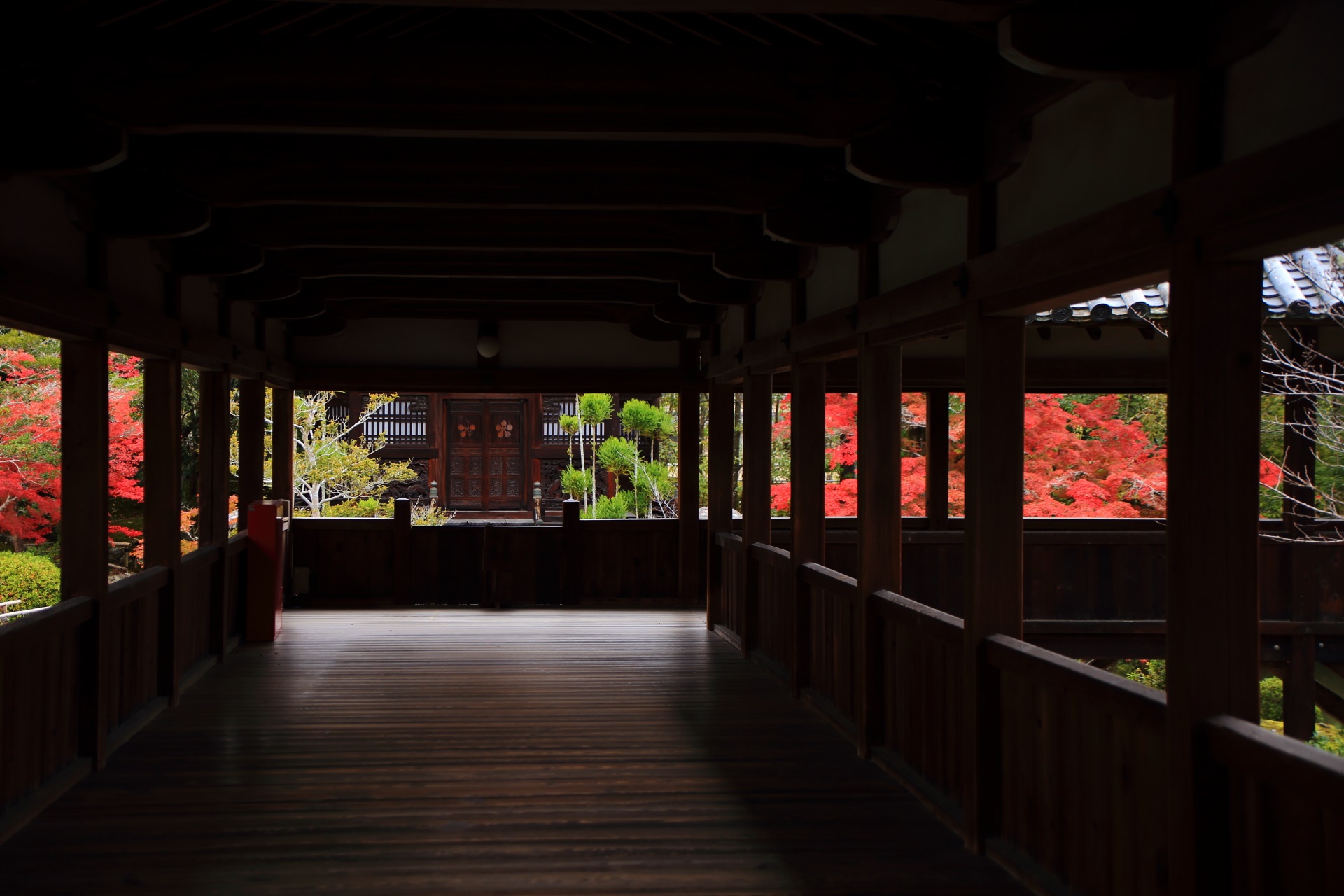 紅葉に彩られた本堂から方丈へ続く回廊
