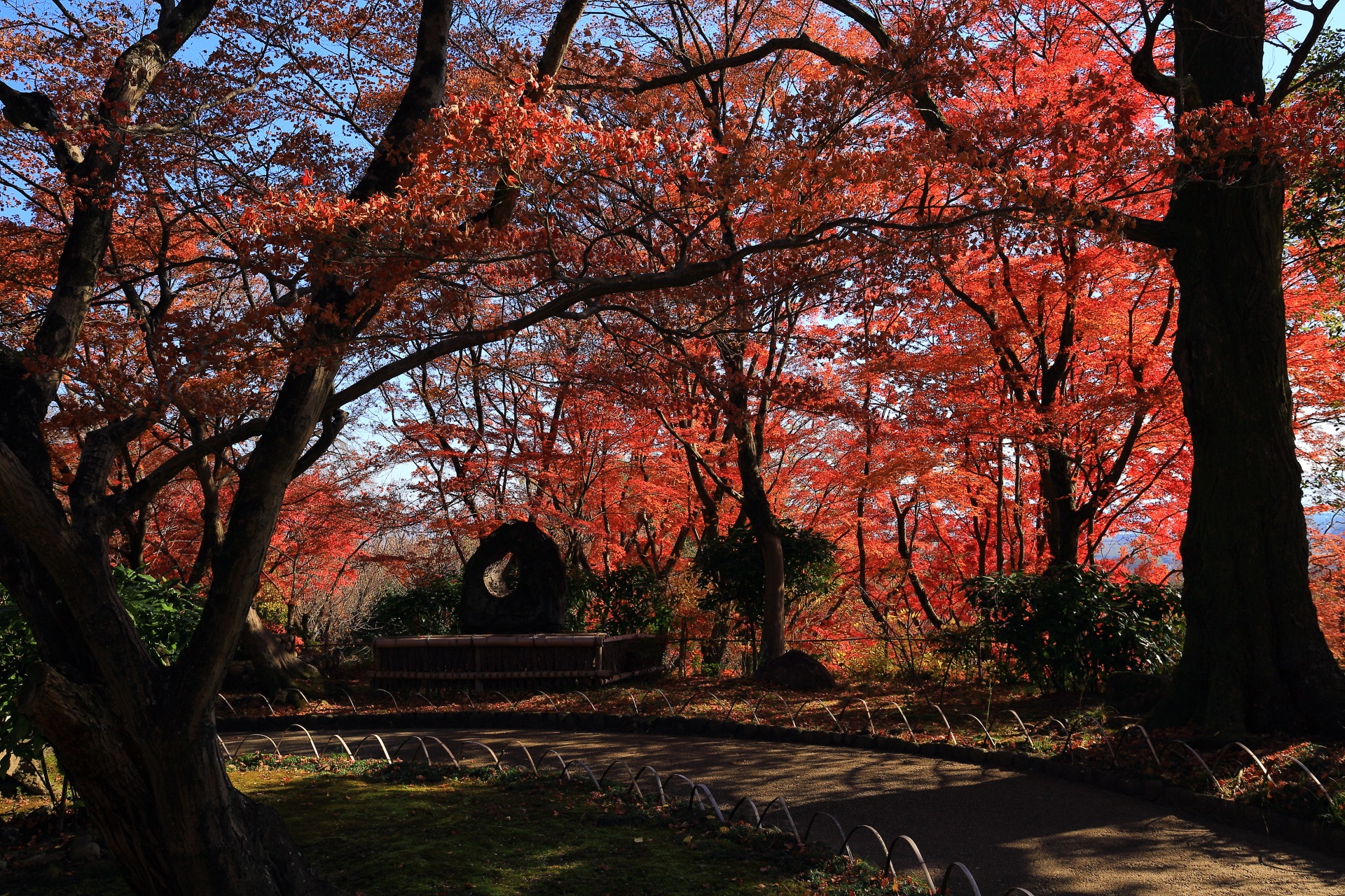 鮮やかで煌びやかな紅葉の空間となる庭園