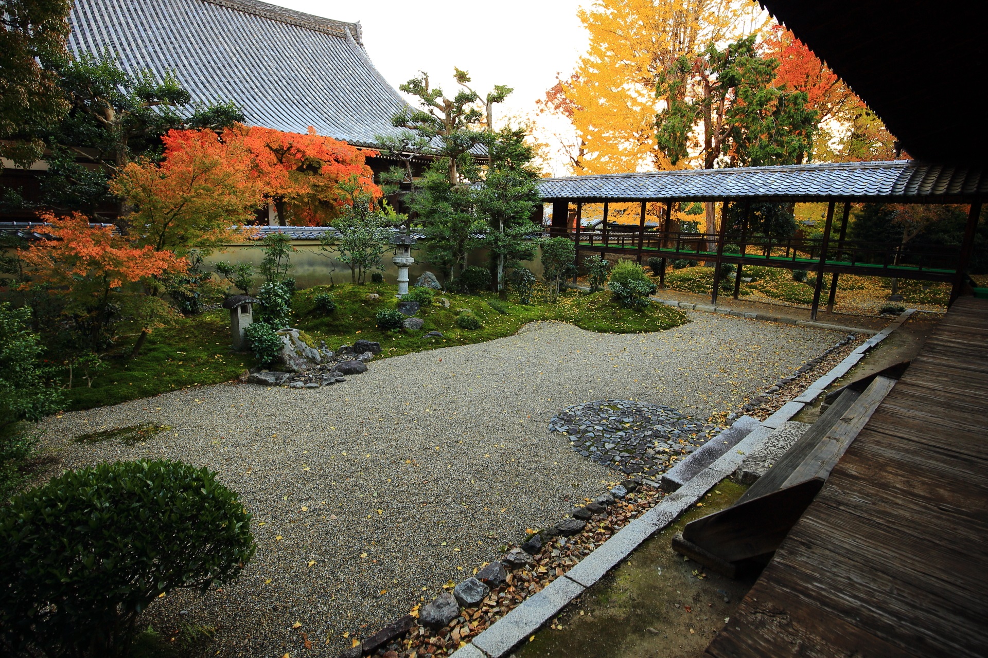 立本寺庭園の白砂と苔を彩る鮮やかな紅葉と銀杏