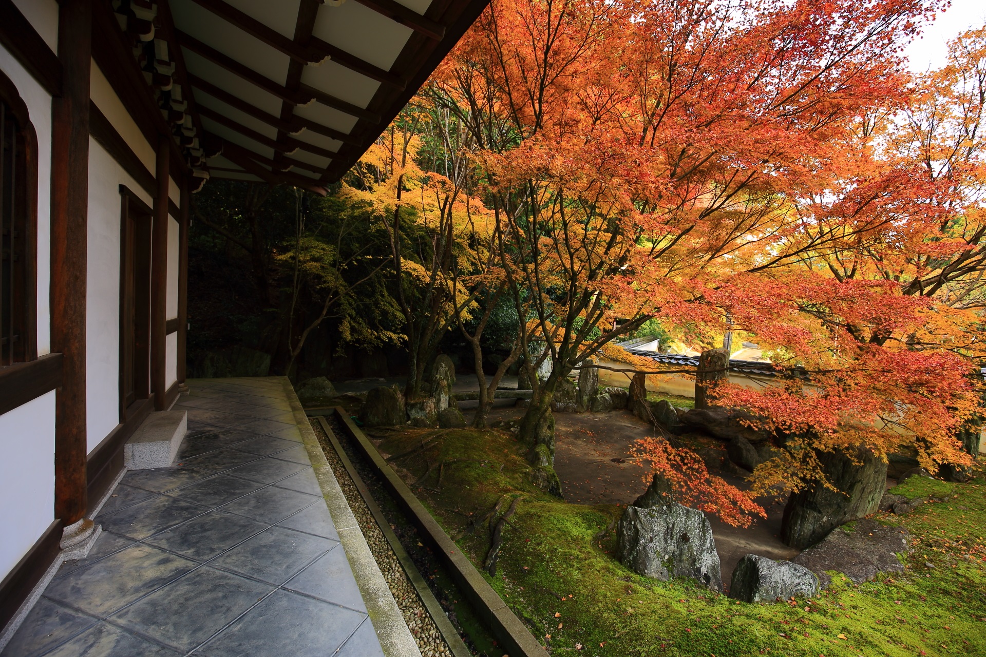 善能寺の祥空殿から眺めた溢れる紅葉と池泉庭園