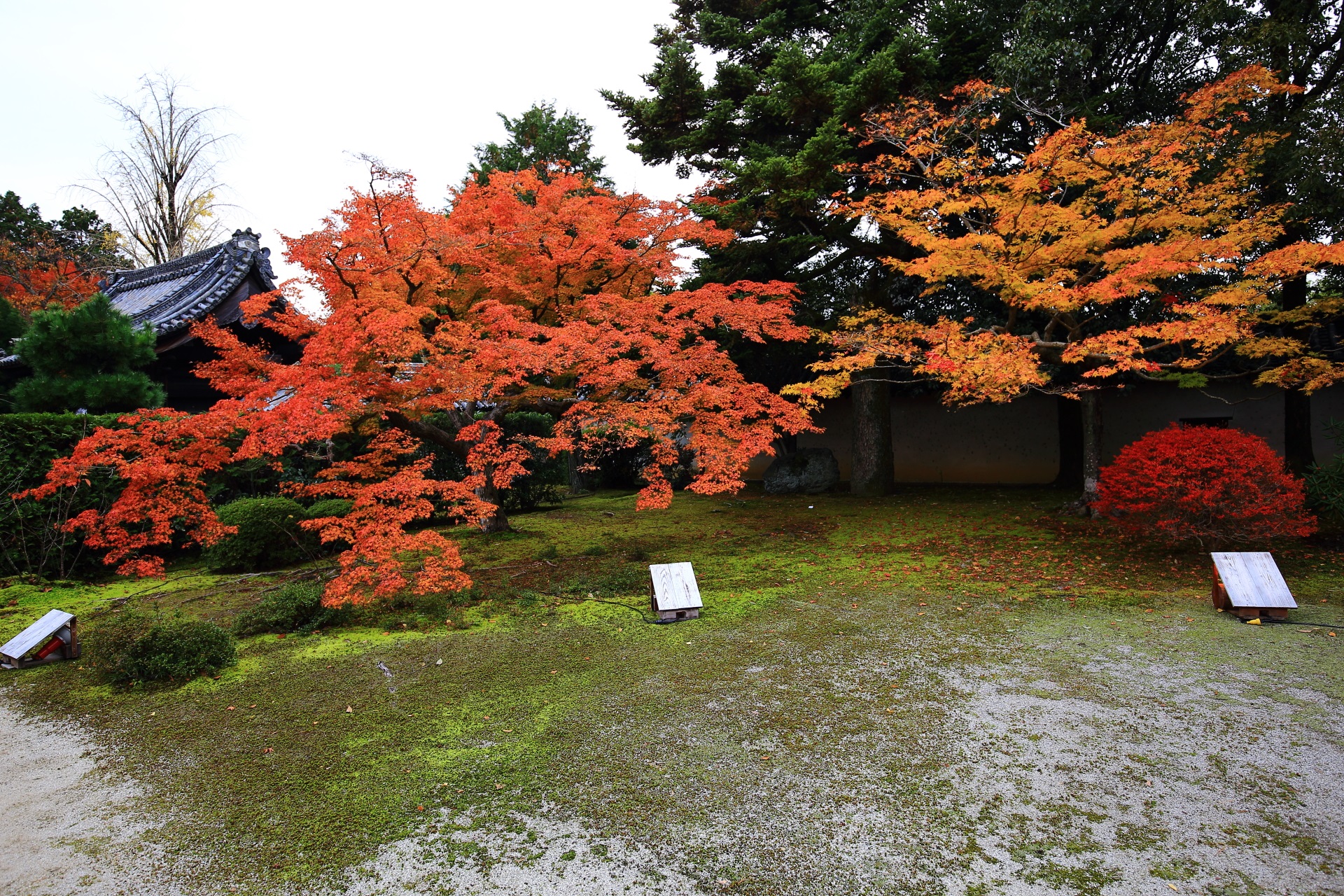 随心院の玄関前の多彩な紅葉とツツジの紅葉