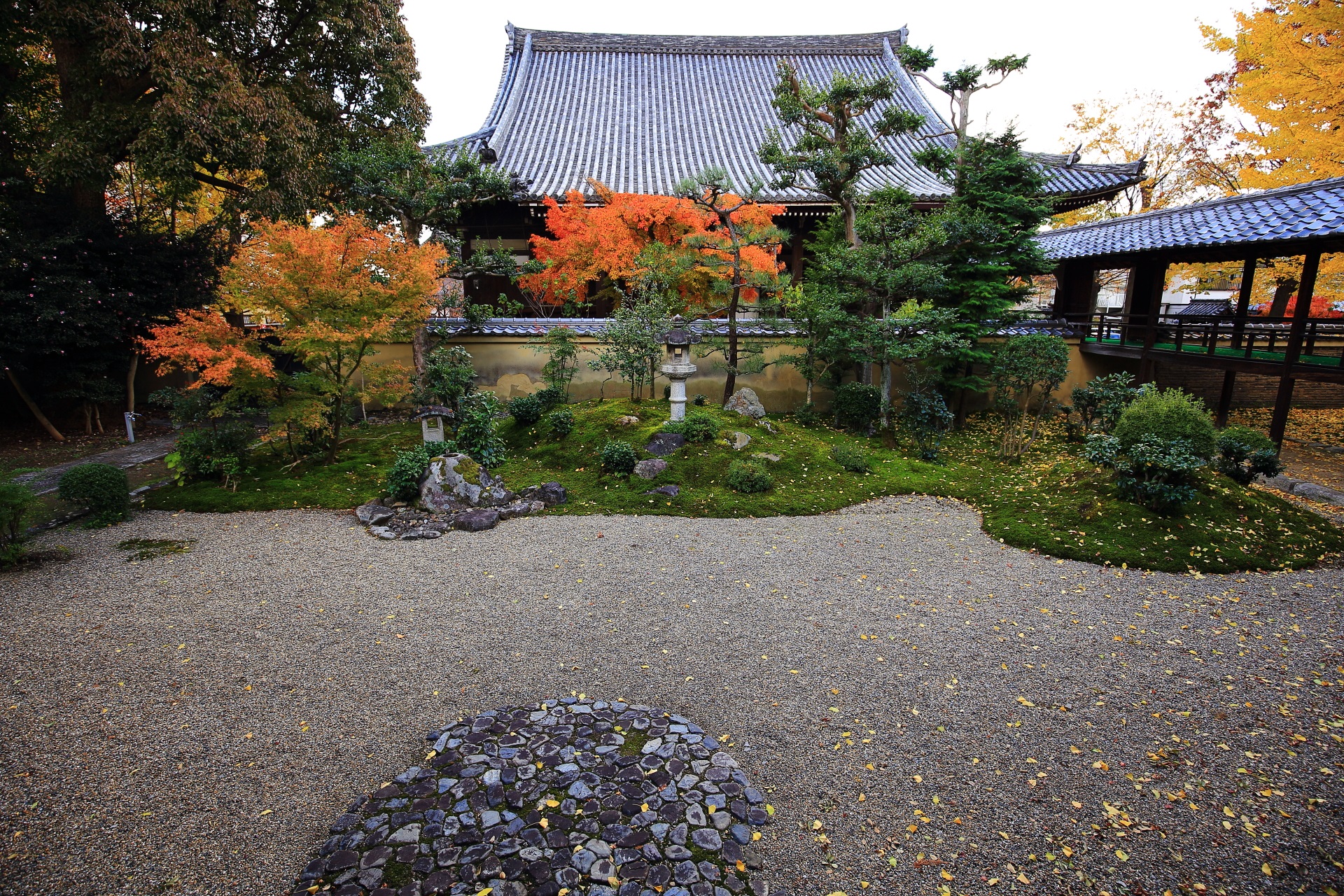立本寺の客殿南側の奥に本堂が構える紅葉の龍華苑