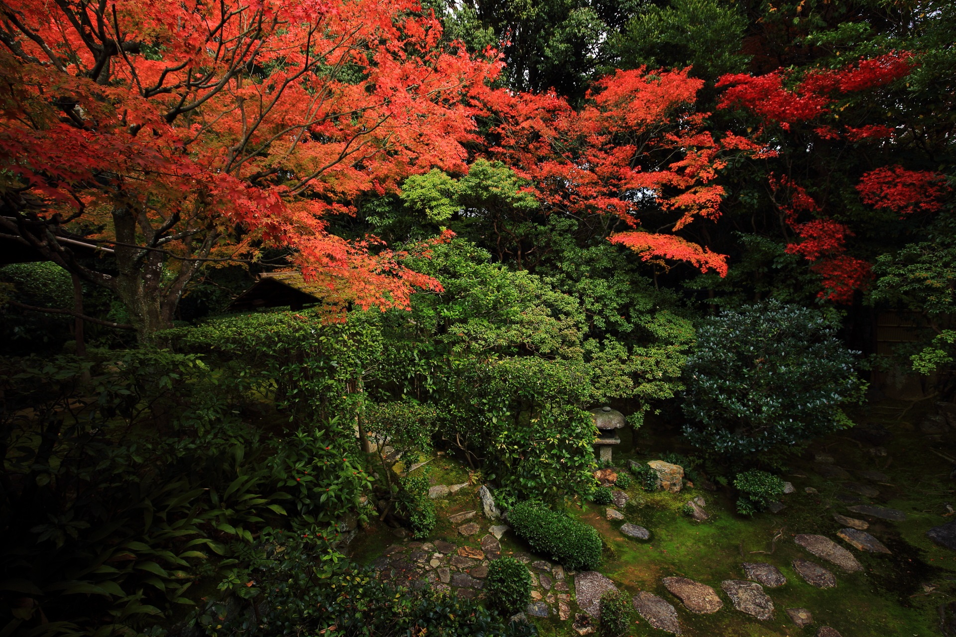 桂春院の多様な緑や飛び石を彩る鮮やかな紅葉