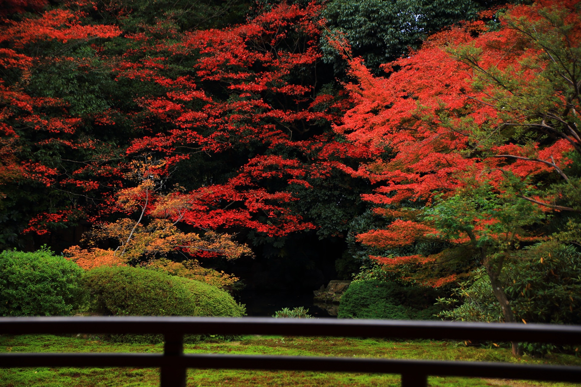 随心院の手摺越しに眺める風情ある赤やオレンジの紅葉