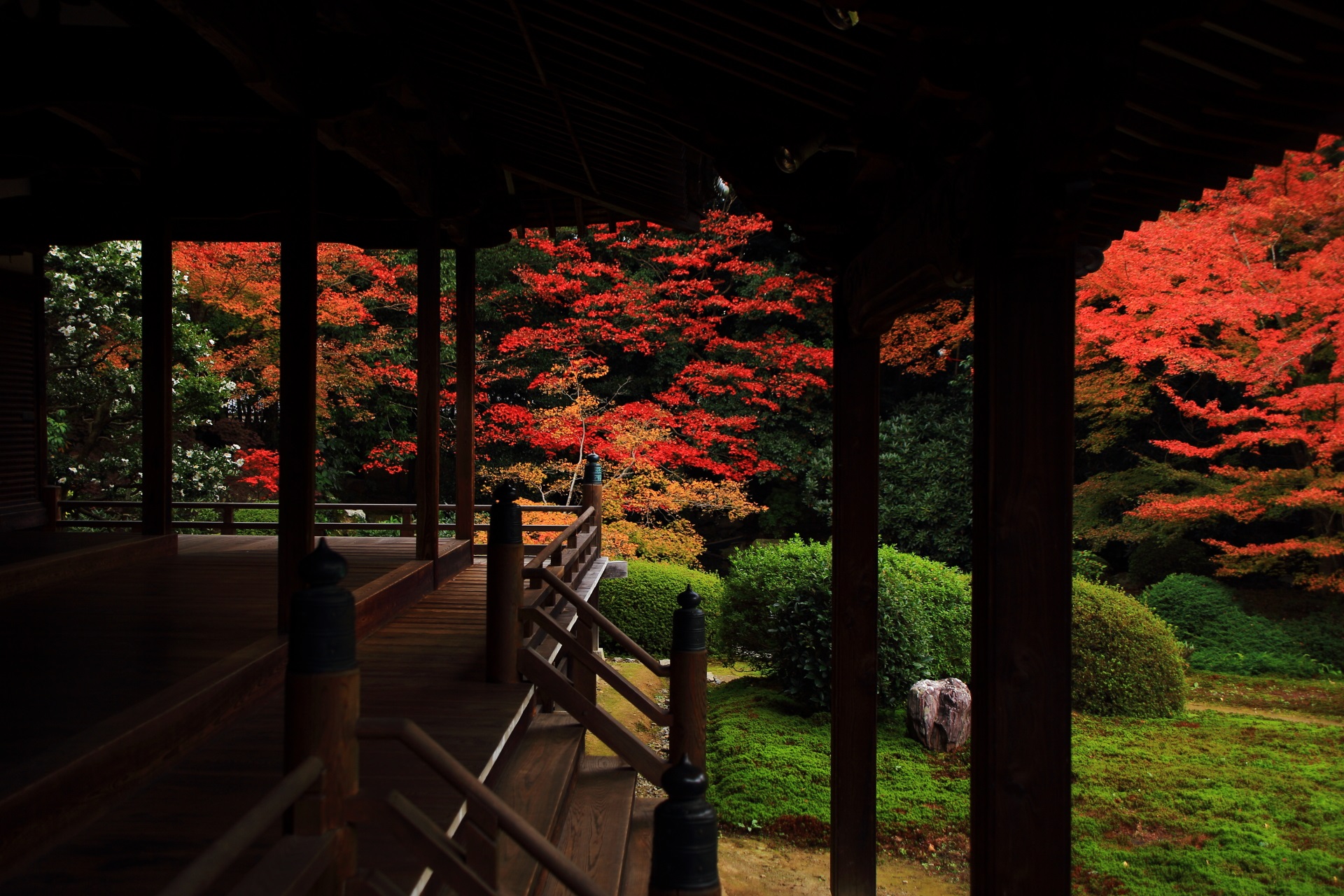 色とりどりの秋色に染まる随心院の本堂と庭園