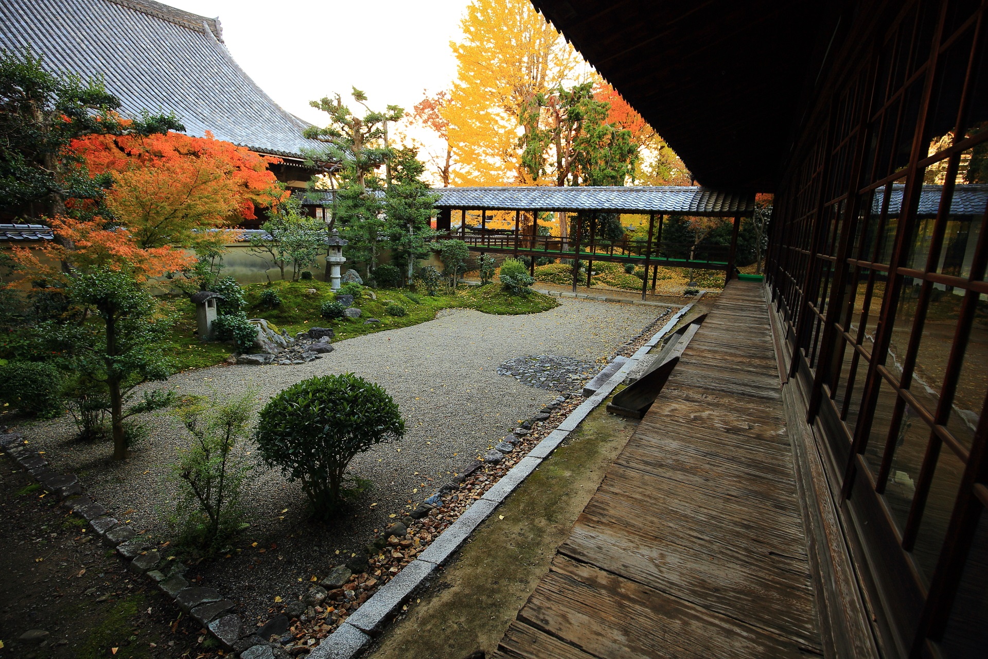 立本寺の色とりどりの秋色につつまれる龍華苑