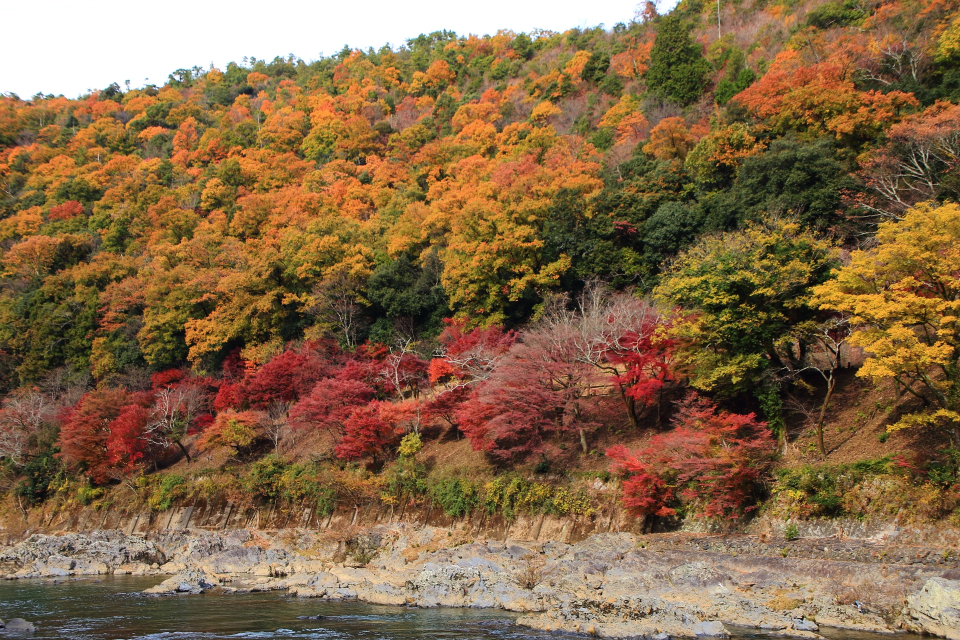 色とりどりの紅葉に染まる秋の嵐山