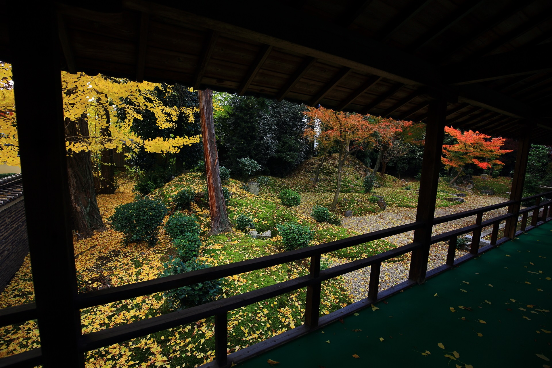 立本寺の本堂と客殿の間の渡り廊下から眺めた紅葉と銀杏の龍華苑