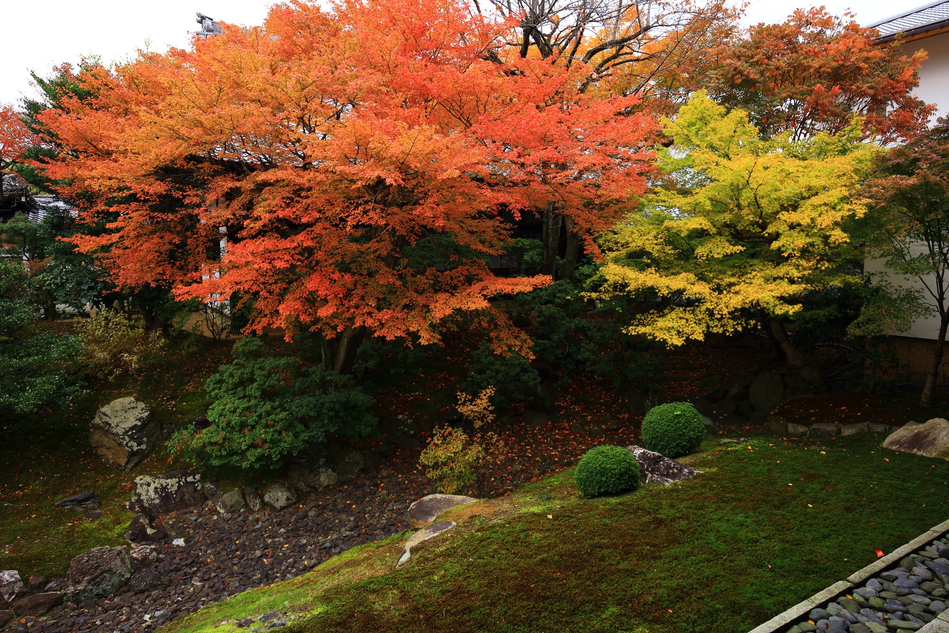 京都市の名勝に指定されている相国寺の裏方丈庭園