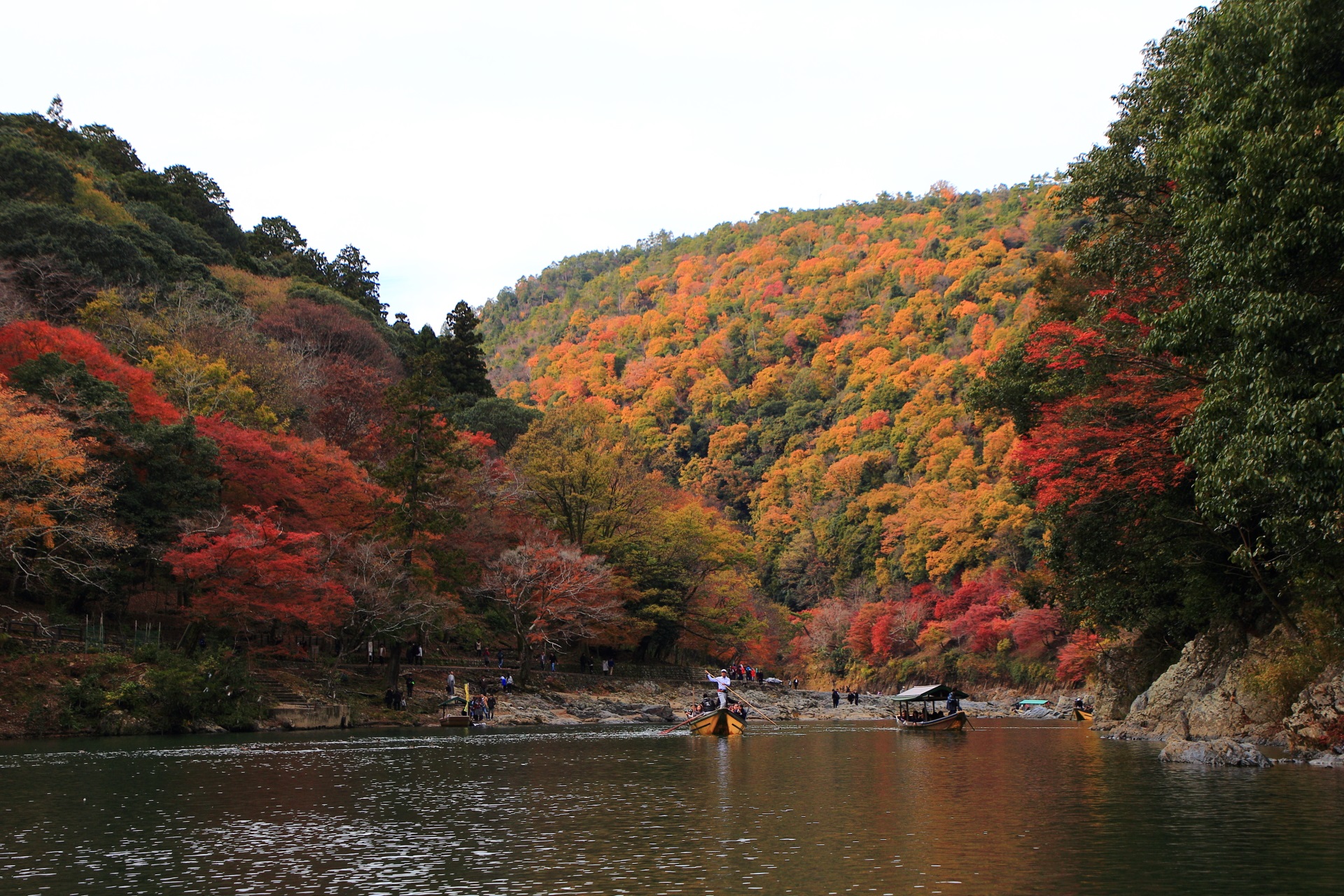 多彩な秋につつまれる桂川と華やかな嵐山