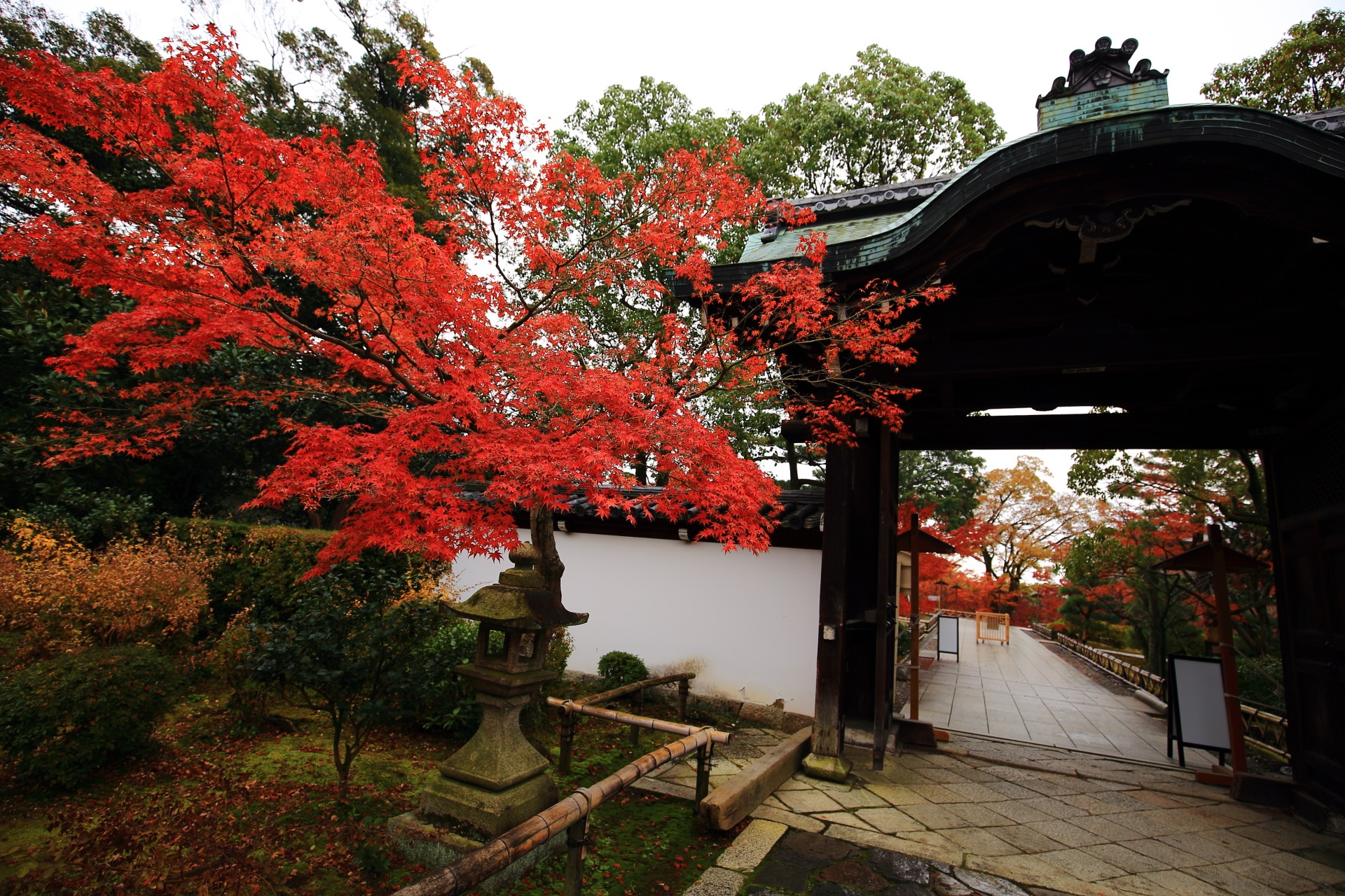 智積院の唐門と紅葉の絵になる秋の風景