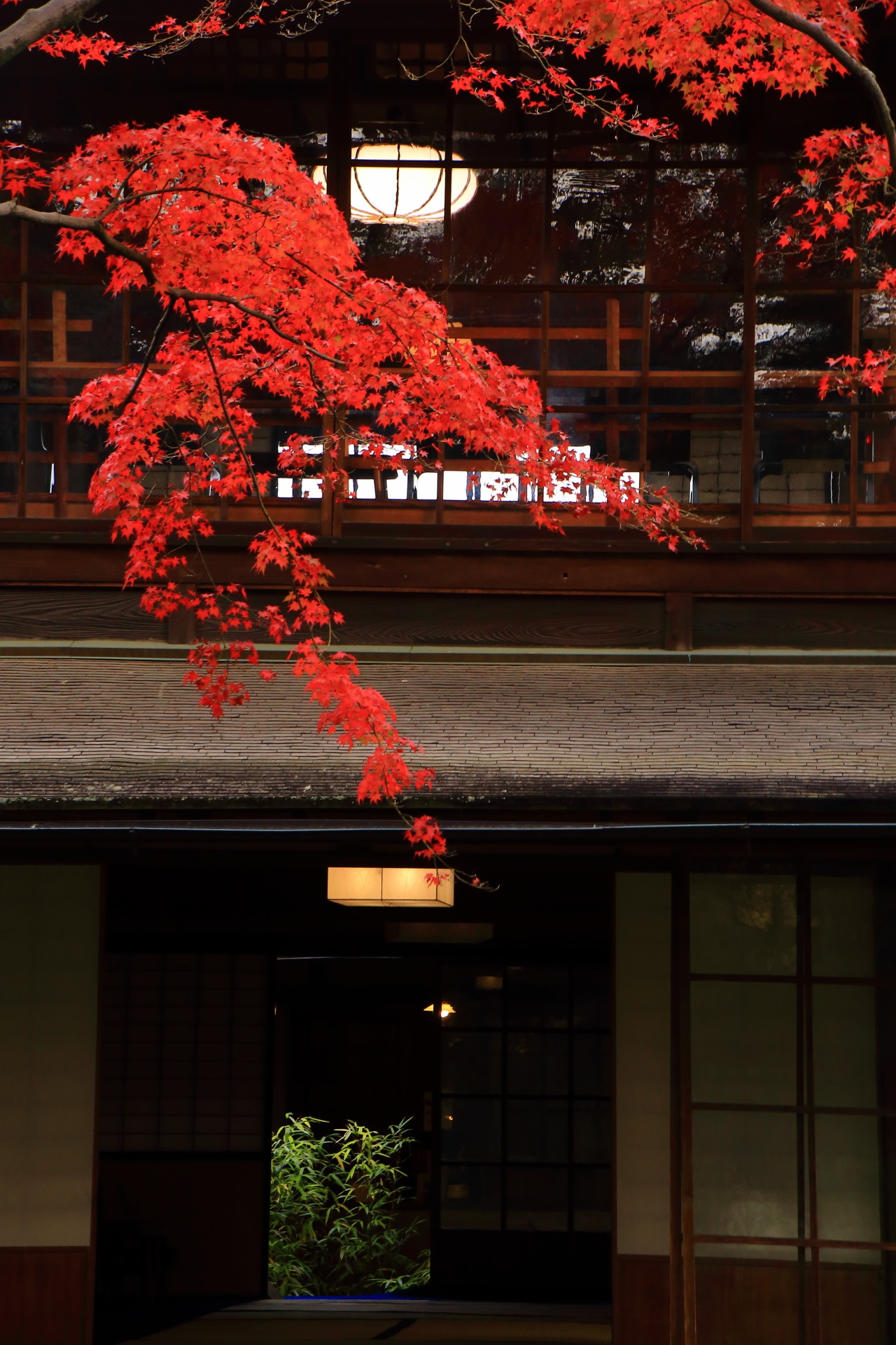 無鄰菴の二階の灯りと一階の中庭が演出する鮮やかな紅葉