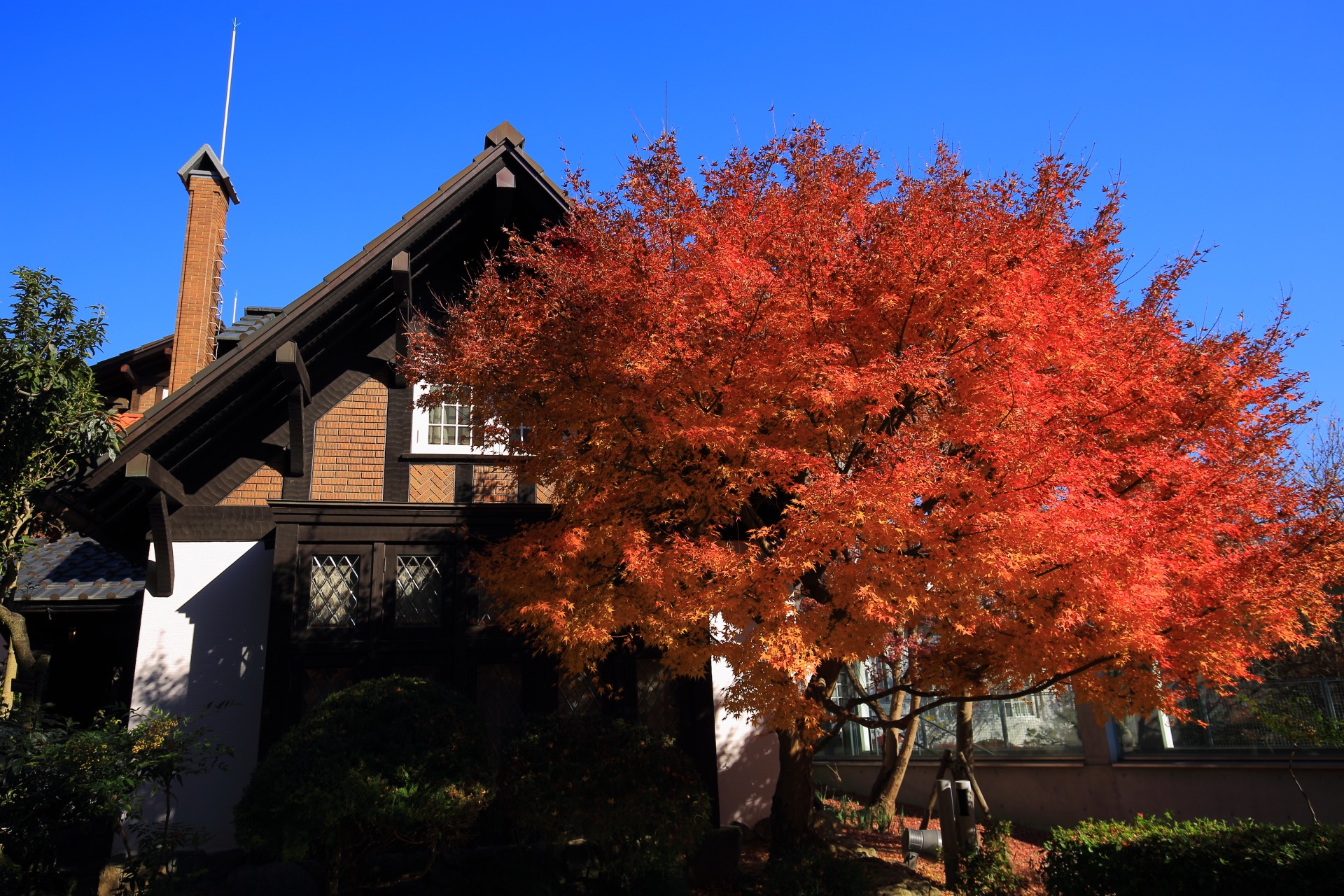 建物に紅葉が良く合う非常に絵になる秋の風景